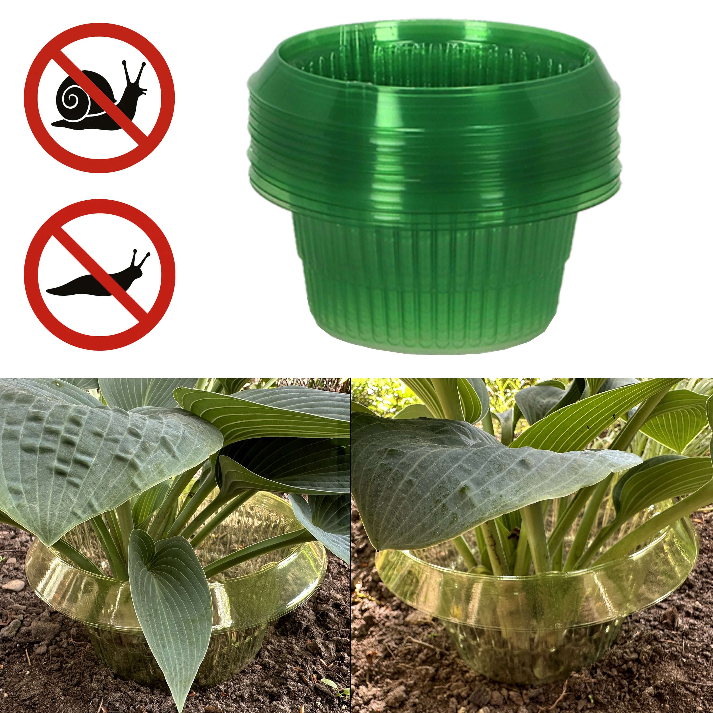 degawo Insektenschutz-Fensterrahmen 12er Set Schneckenschutzringe Schnecken günstig online kaufen