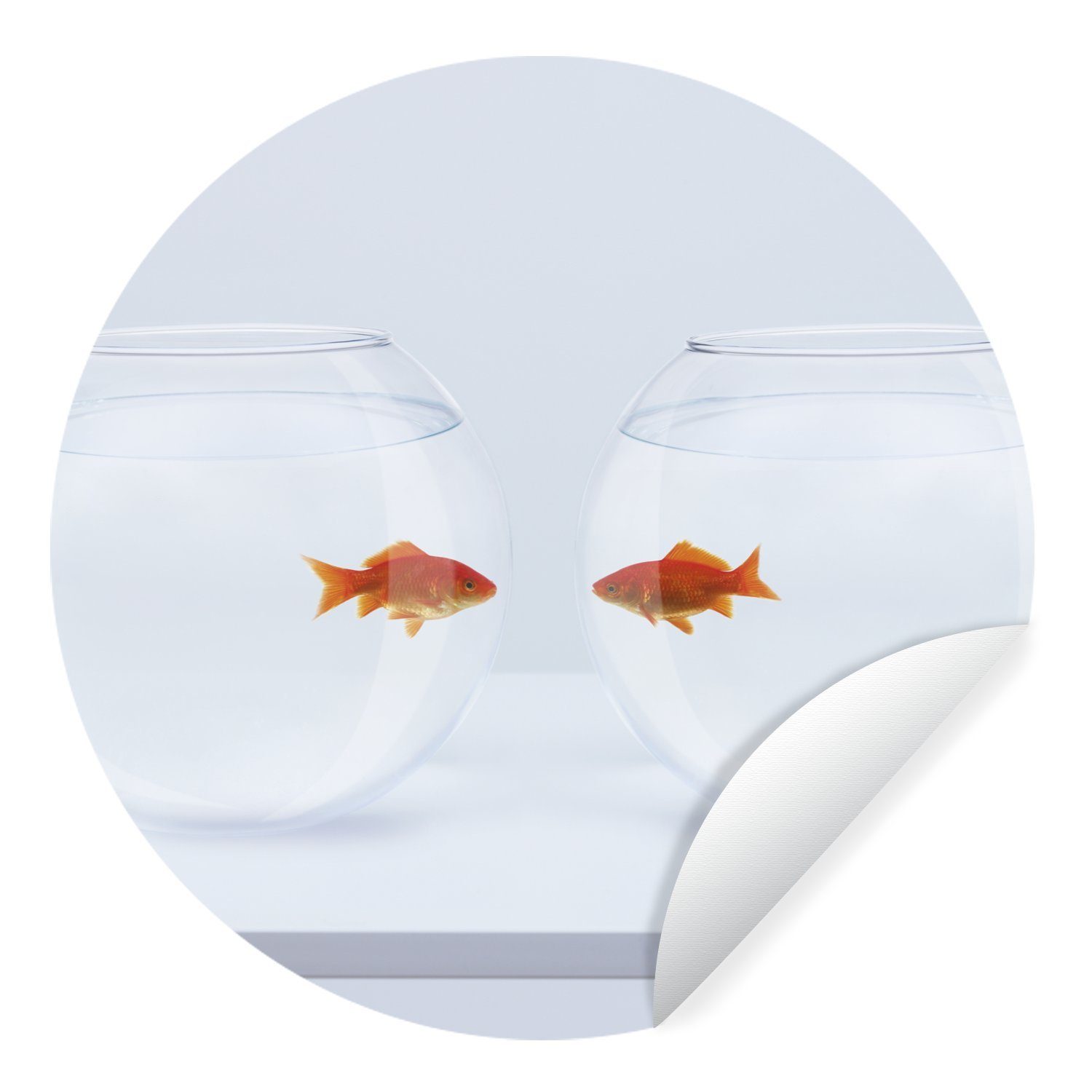 MuchoWow Wandsticker Goldfisch - Fischgläser - Weiß (1 St), Tapetenkreis für Kinderzimmer, Tapetenaufkleber, Rund, Wohnzimmer