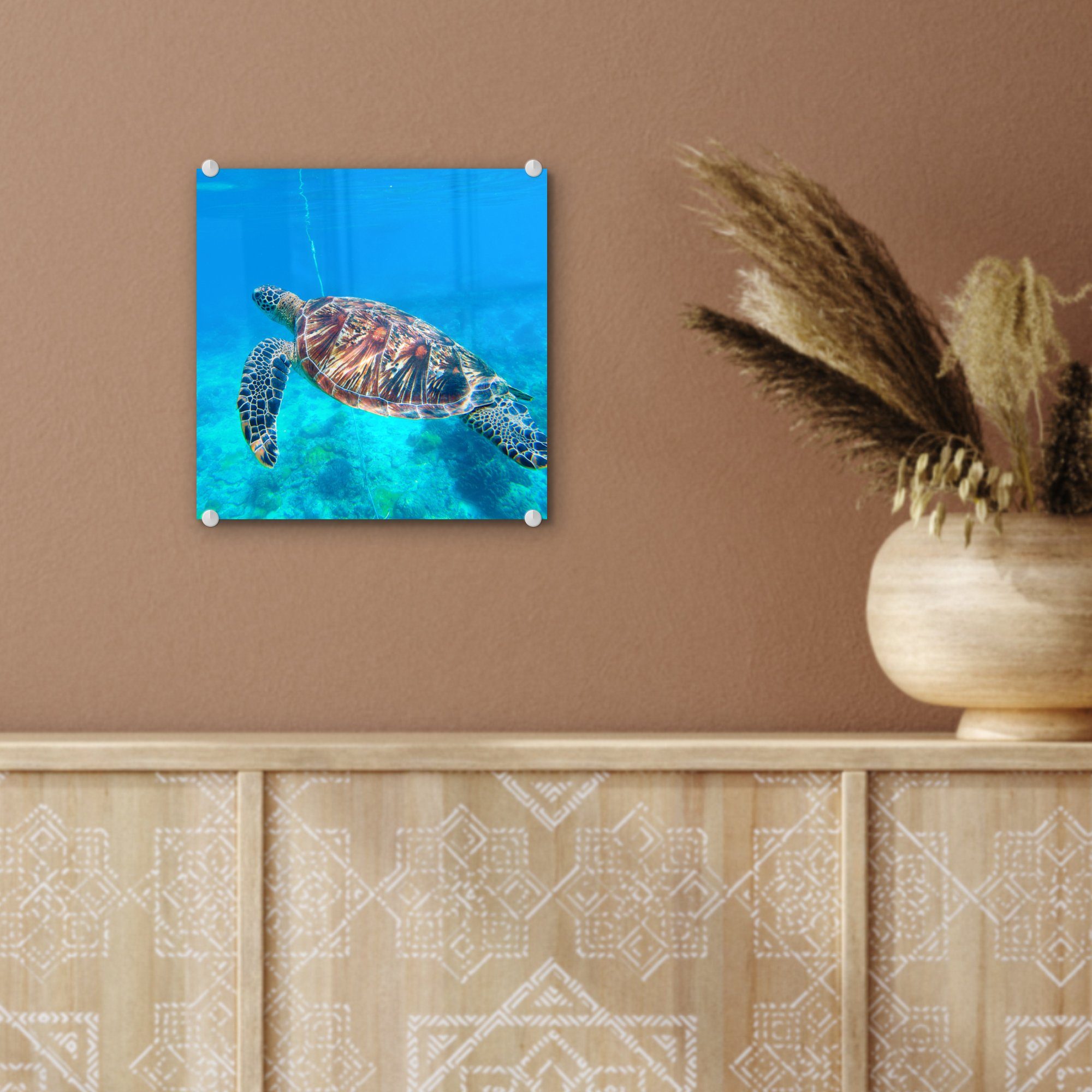 - - Bilder Wasser, - Glas Wanddekoration Meer auf MuchoWow Schildkröte Foto Wandbild - - Glasbilder (1 Glas Acrylglasbild auf St),