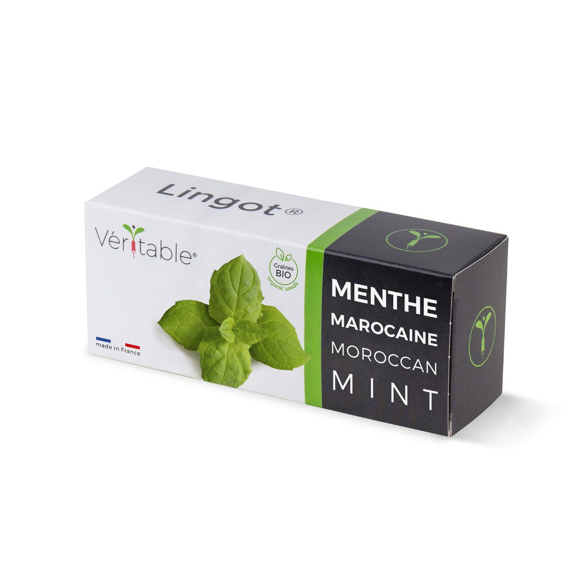 Veritable Anzuchttopf Lingot Moroccan Mint - Organic (1 St)