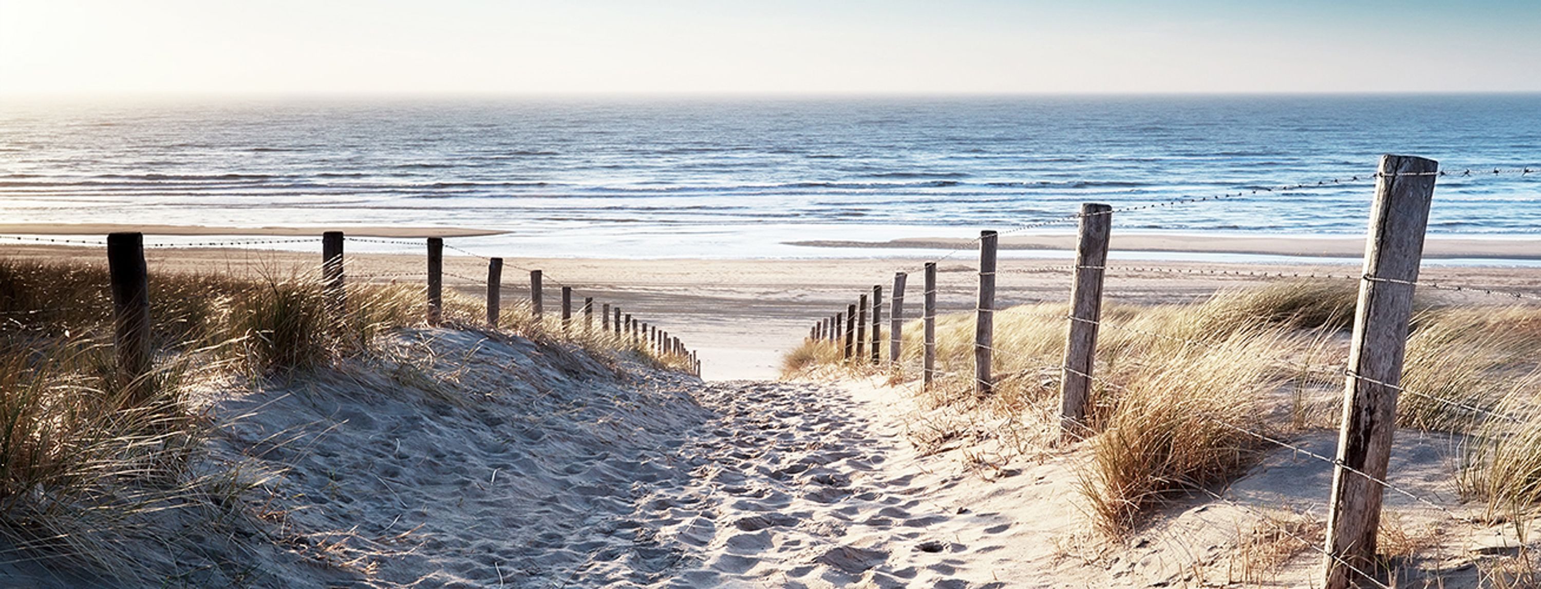 artissimo Glasbild Bild aus Glas 80x30 cm / Wandbild Querformat / Wanddeko modern, Strand und Meer: Dünenweg zum Meer in Sand-Blau