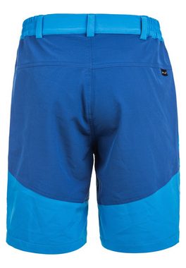 WHISTLER Shorts AVIAN M ACTIV STRETCH mit komfortablem Funktionsstretch