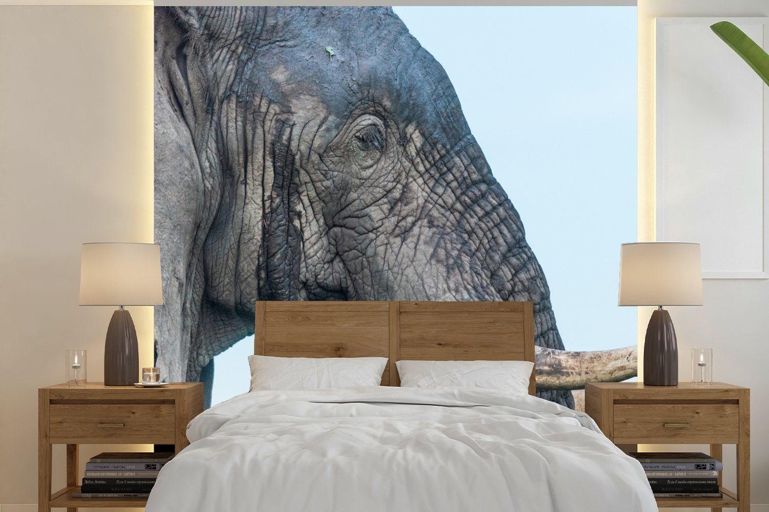 MuchoWow Fototapete Elefant - Tiere - Grau - Natur, Matt, bedruckt, (4 St), Vliestapete für Wohnzimmer Schlafzimmer Küche, Fototapete