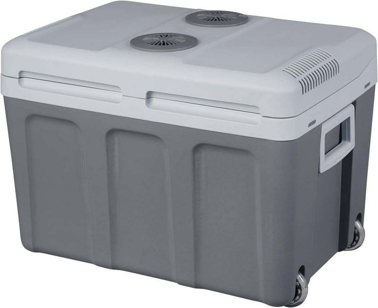 Woltu Kühlbox, Isolierbox XL mit Rollen Warm-Kalt 40L für Auto & Camping dunkelgrau