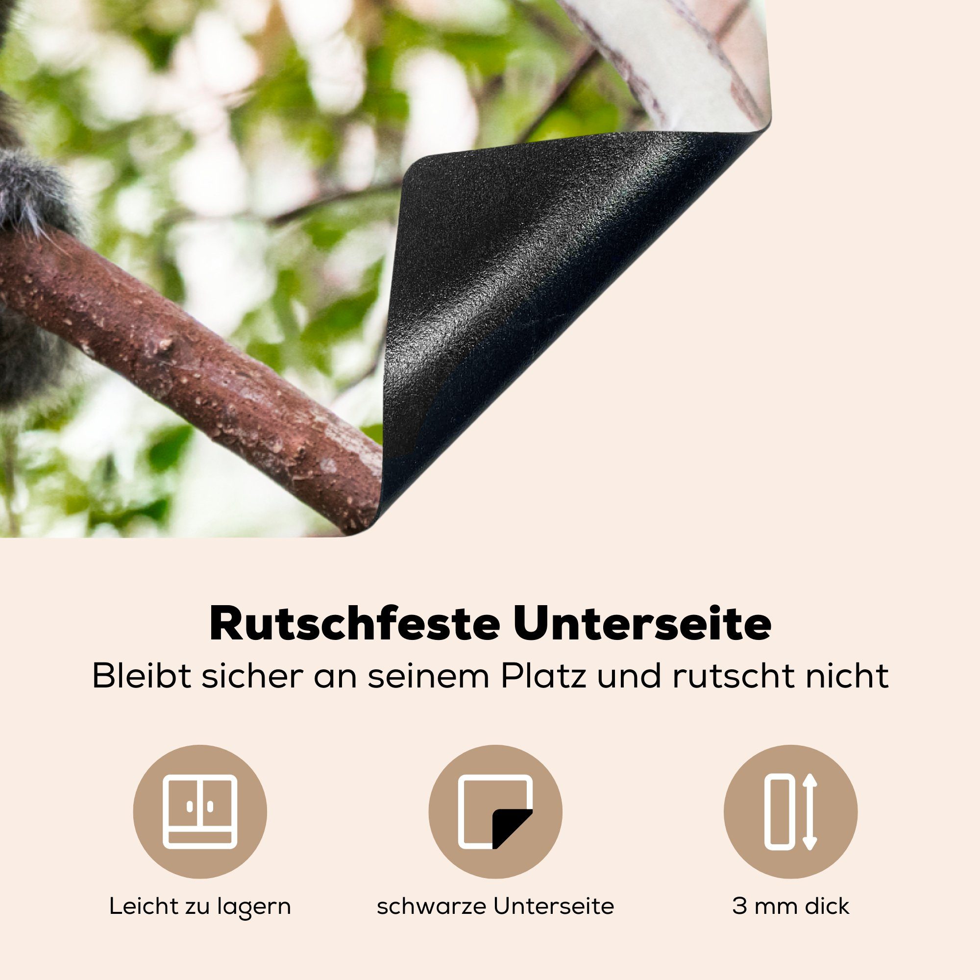 (1 - cm, - Schutz Herdblende-/Abdeckplatte Vinyl, küche, Tier, 81x52 für MuchoWow tlg), Zweig Ceranfeldabdeckung Induktionskochfeld die Affe