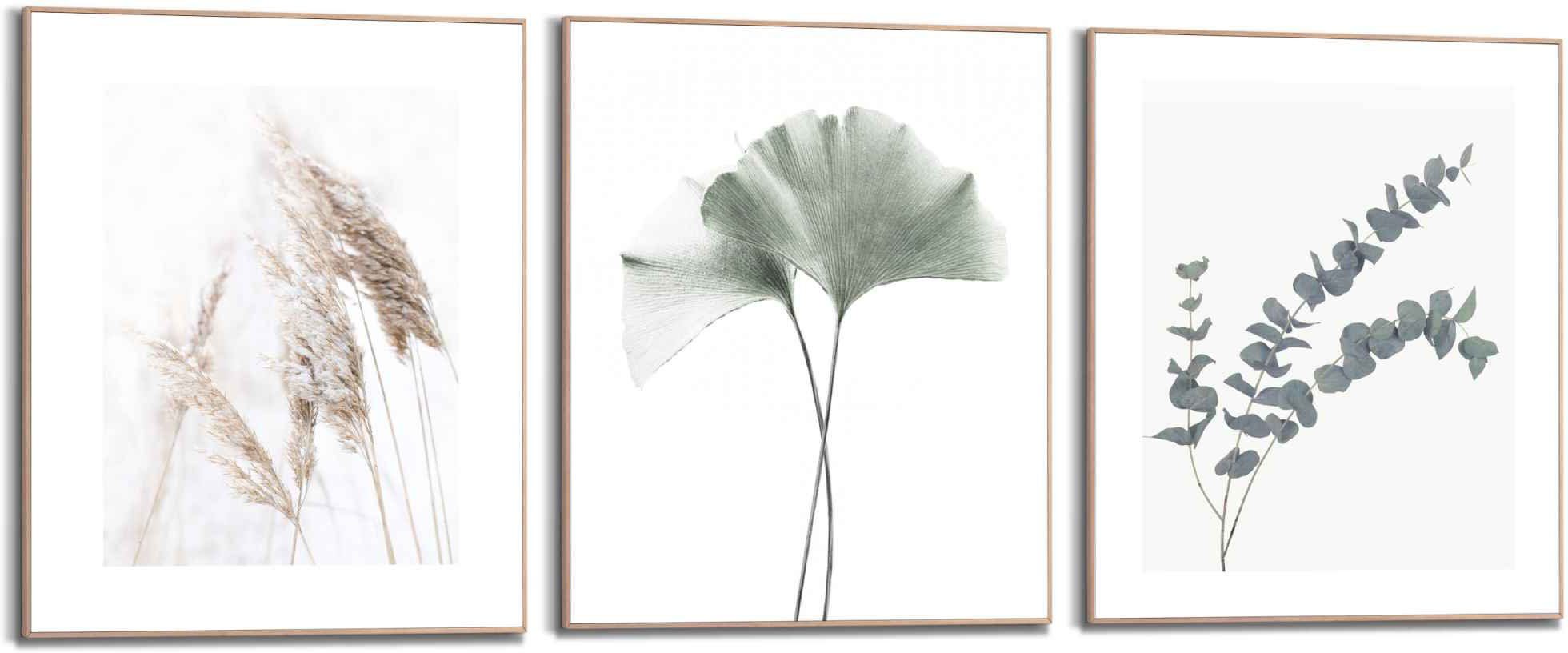 Wandbilder Ginkgo Set Naturmotiv St) und Wandbild Reinders! (3 Eukalyptys Pflanz, Natur