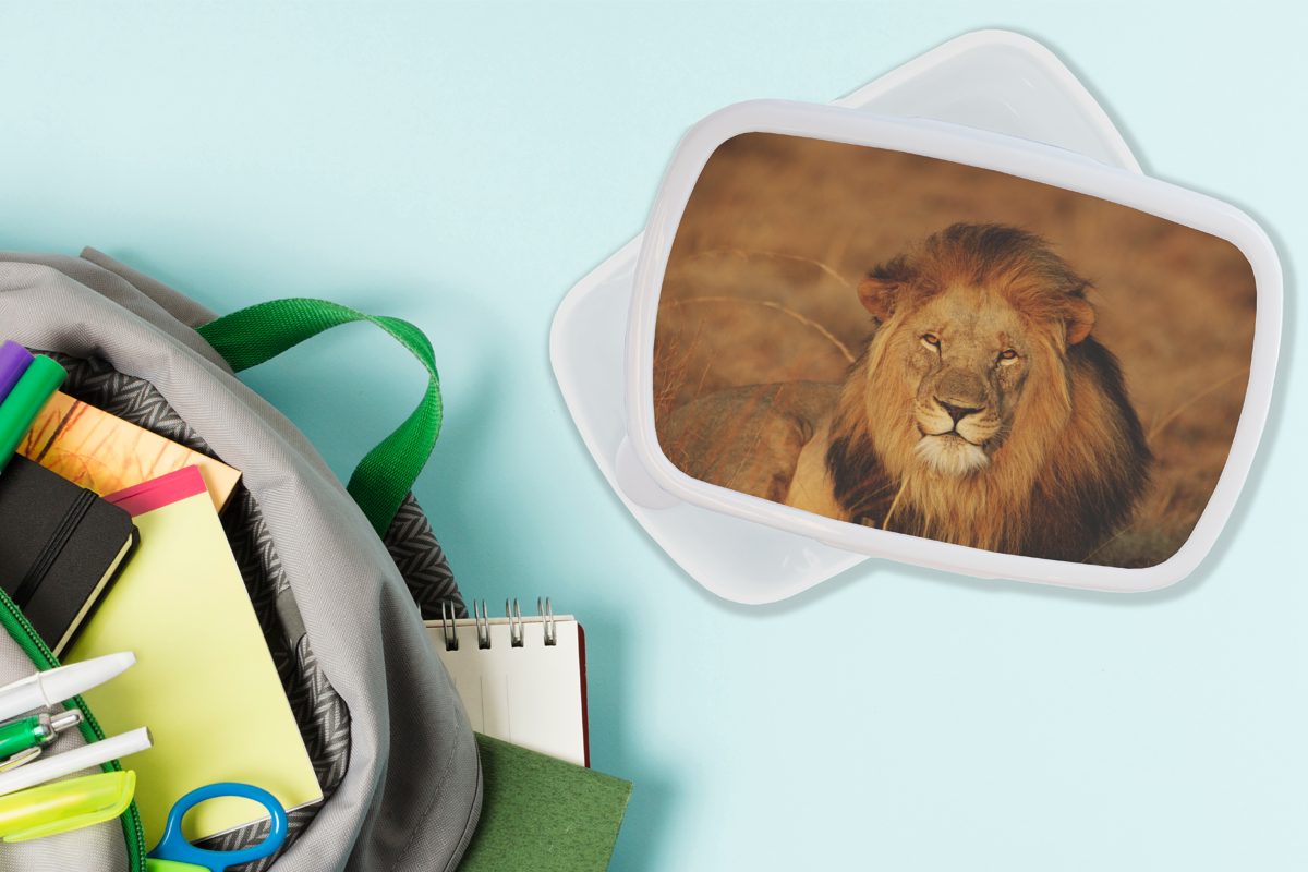 Brotbox - für Kinder Jungs (2-tlg), MuchoWow Kunststoff, weiß Brotdose, - Erwachsene, und für Porträt Jagd, Mädchen und Löwe Lunchbox