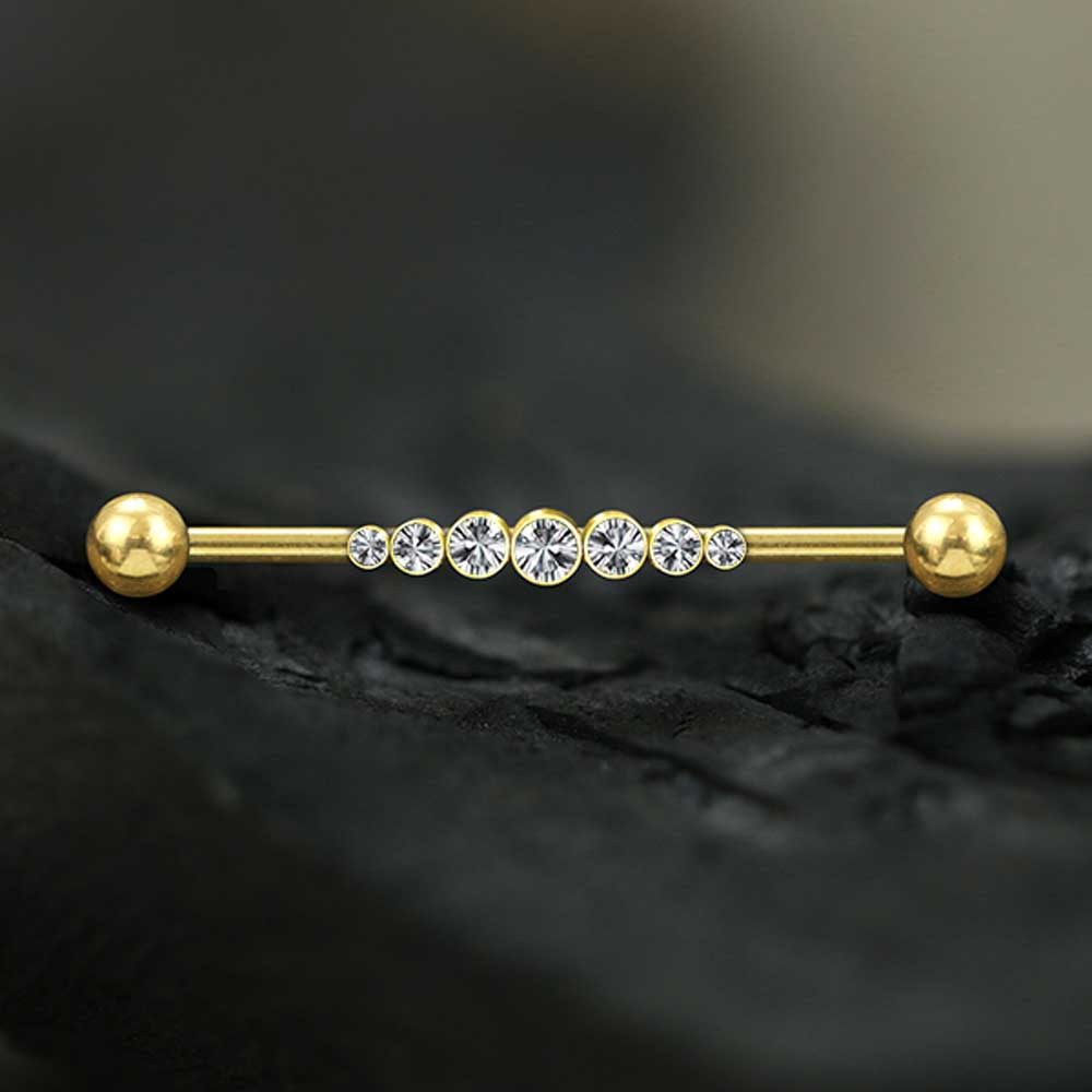 viva-adorno Piercing-Set Industrial Piercing Scaffold Ohr günstig online kaufen