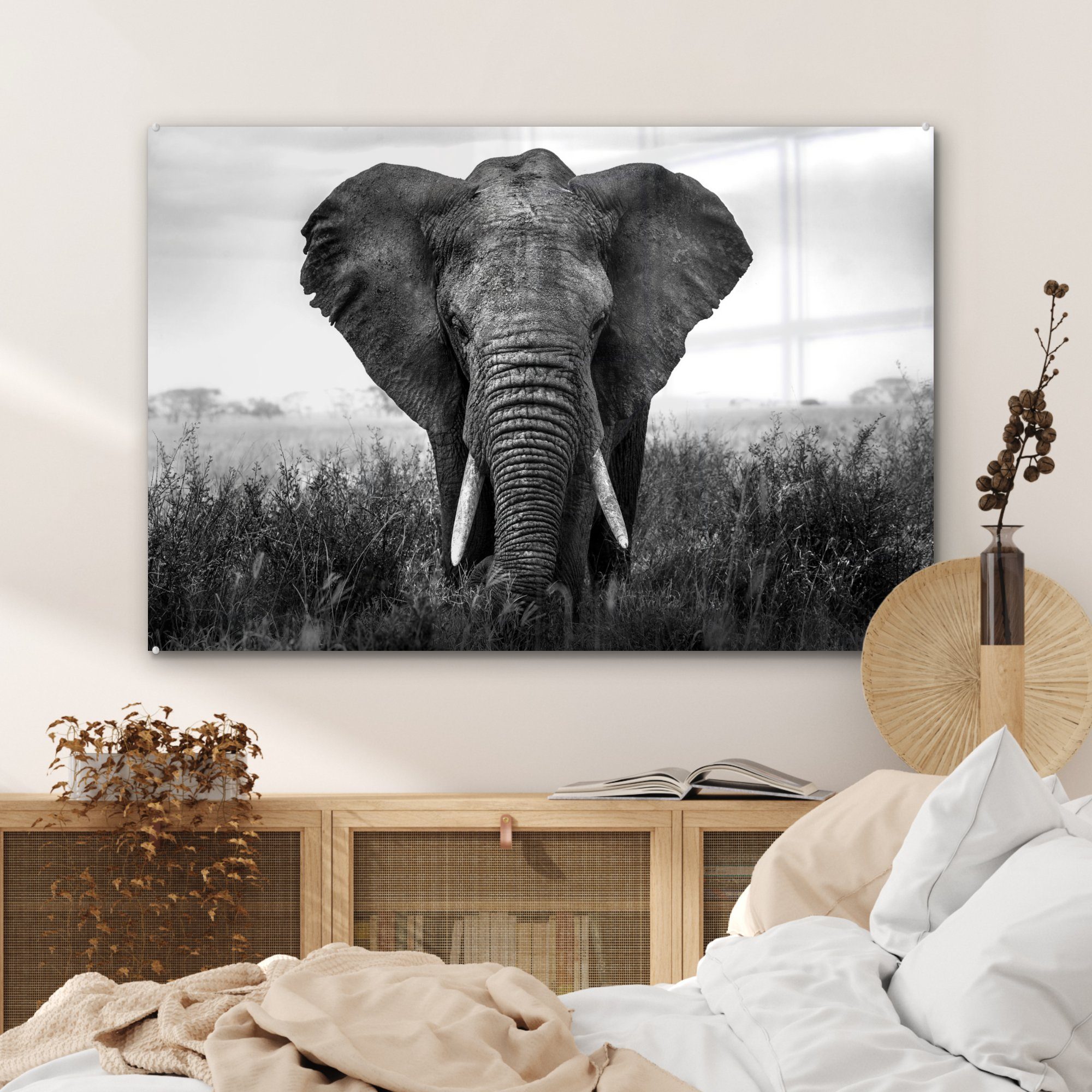 Acrylglasbilder und, Elefant Acrylglasbild (1 - schwarz im Wohnzimmer MuchoWow Gras Schlafzimmer St), & Serengeti-Nationalpark Afrikanischer im