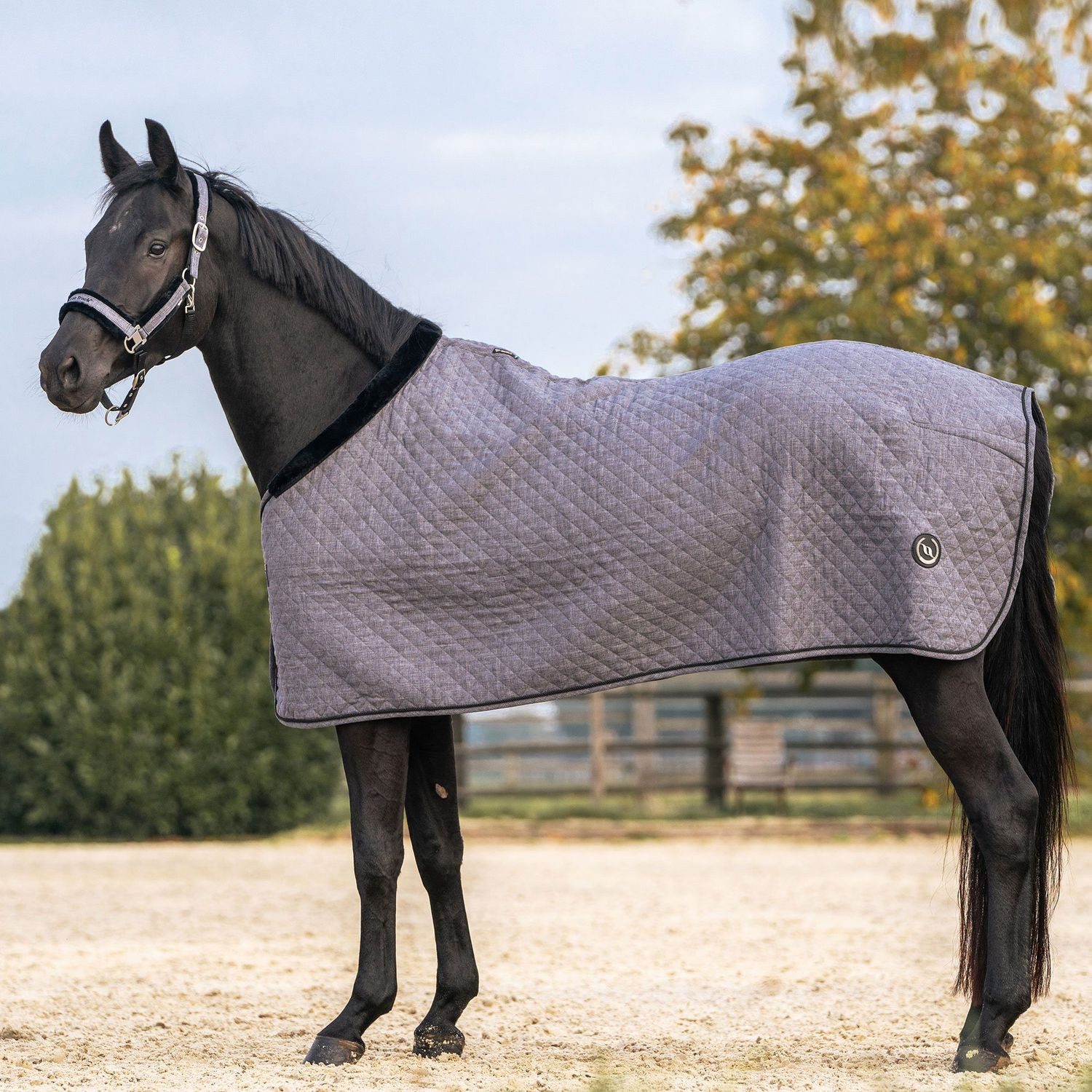 Back on track Pferde-Stalldecke Back on Track Haze Collection 200g Decke - grau