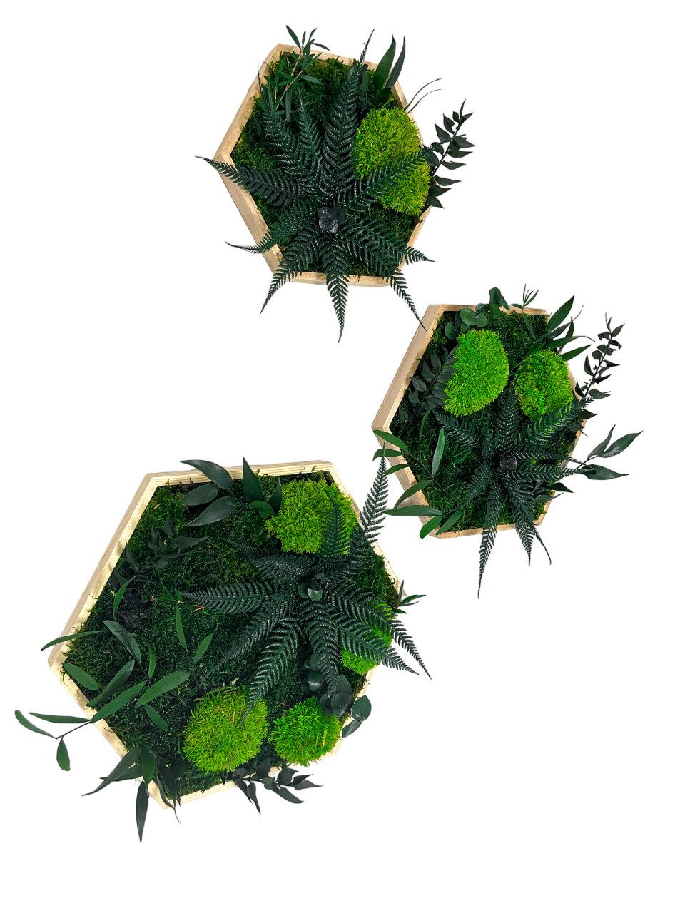 Gedankenwunder Manufaktur Bild Kleine Dschungelblume & günstig online kaufen