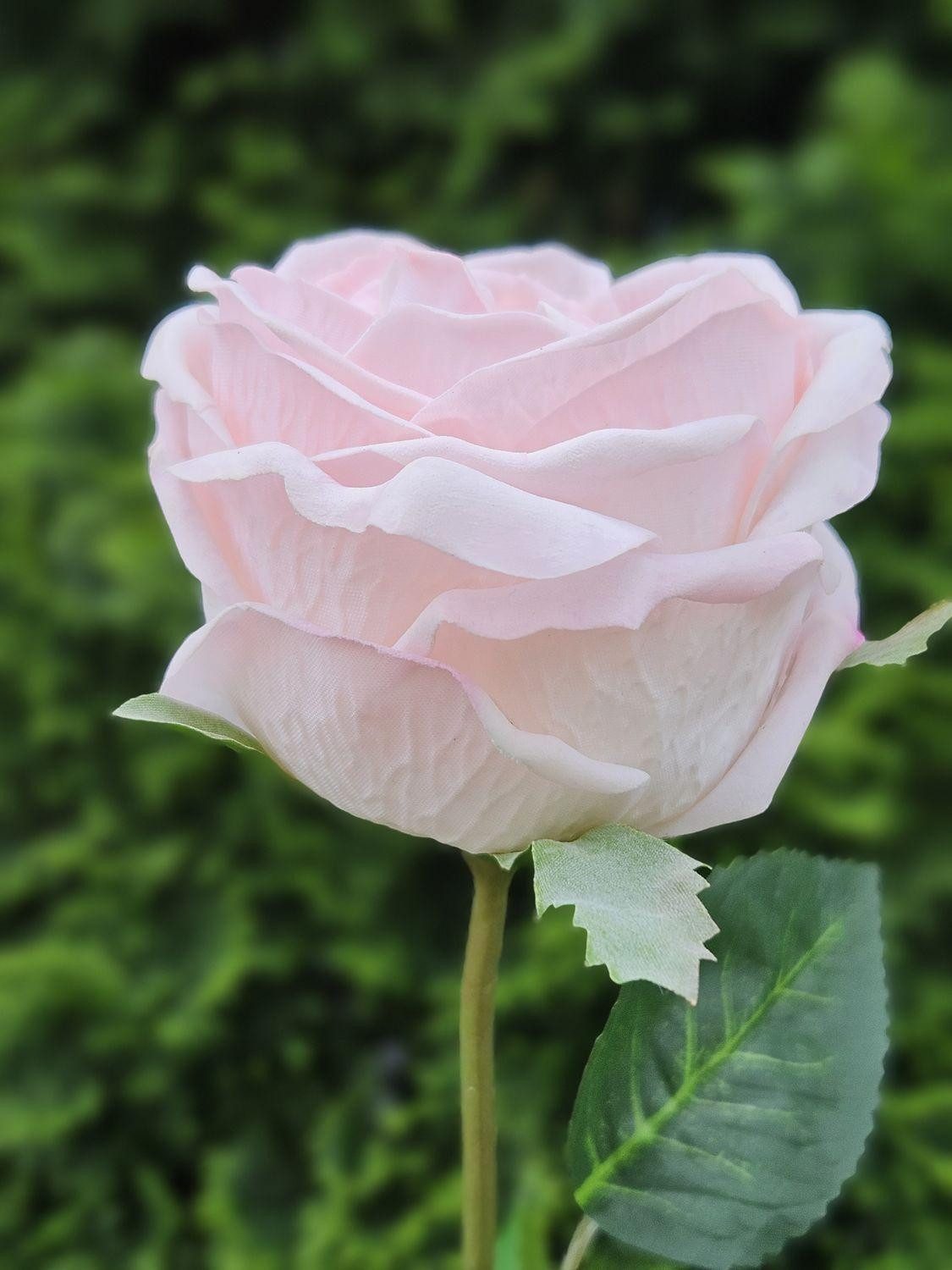 Kunstblume Rose MARNUK, Hellrosa, 60cm Rose (Kohl-Rose), artplants, Höhe 60.0 cm