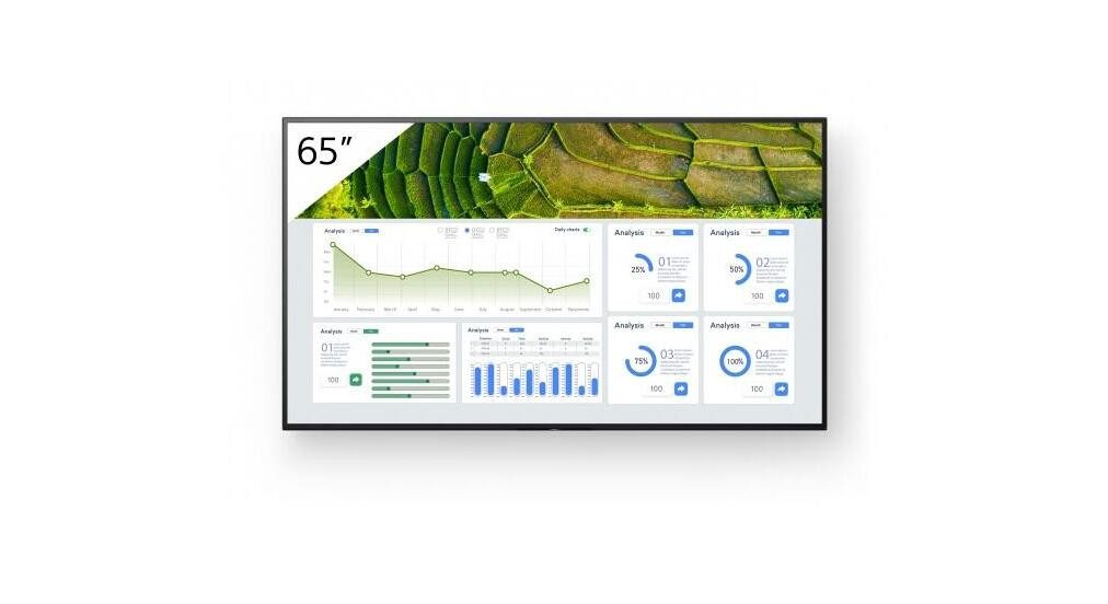 Sony Sony FW-65BZ30L LED-Monitor (3840 x 2160, 8 ms Reaktionszeit, 60 Hz, VA Panel)