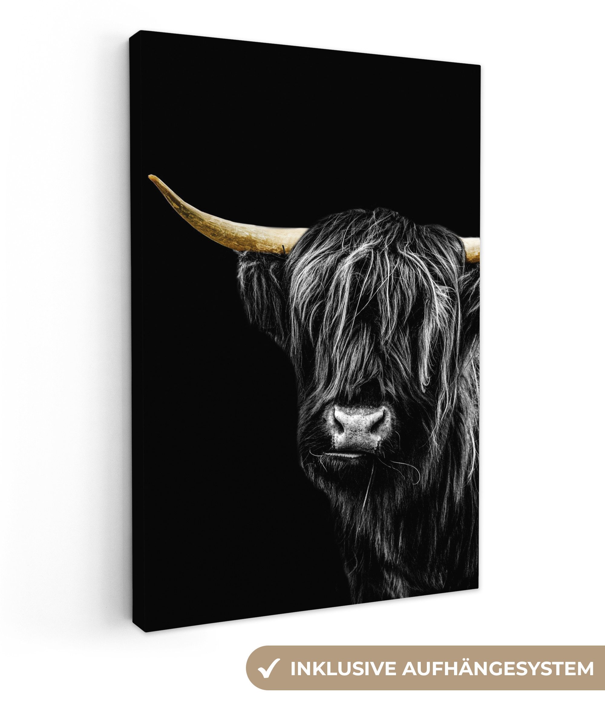 OneMillionCanvasses® Leinwandbild Schottischer Highlander - Gold - Schwarz, günstig online kaufen