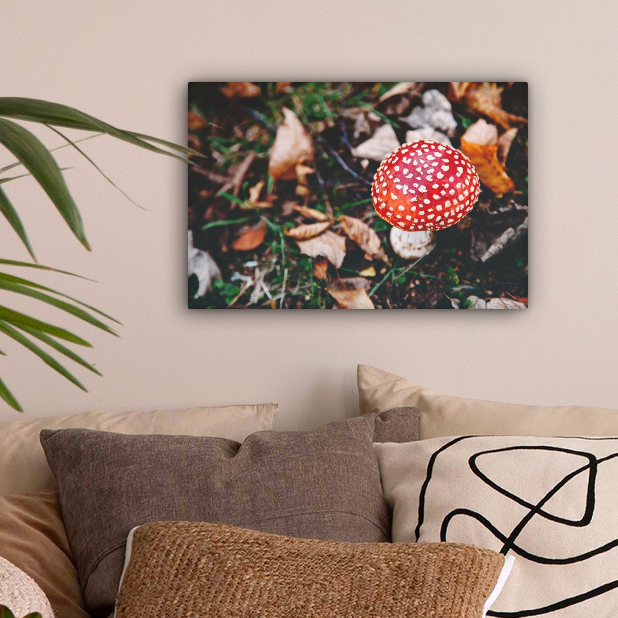OneMillionCanvasses® Leinwandbild Herbst - Pilz - günstig online kaufen