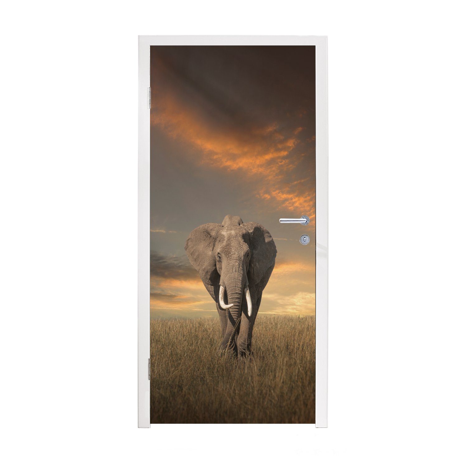 MuchoWow Türtapete Elefant - Tiere - Gras - Natur, Matt, bedruckt, (1 St), Fototapete für Tür, Türaufkleber, 75x205 cm