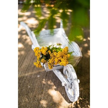 HTI-Living Gartenfigur Holzschubkarre Weiß Rustikal Sommerset, (Stück, 1 St., 1 Dekoschubkarre ohne Dekoration), Dekoschubkarre Planzschubkarre