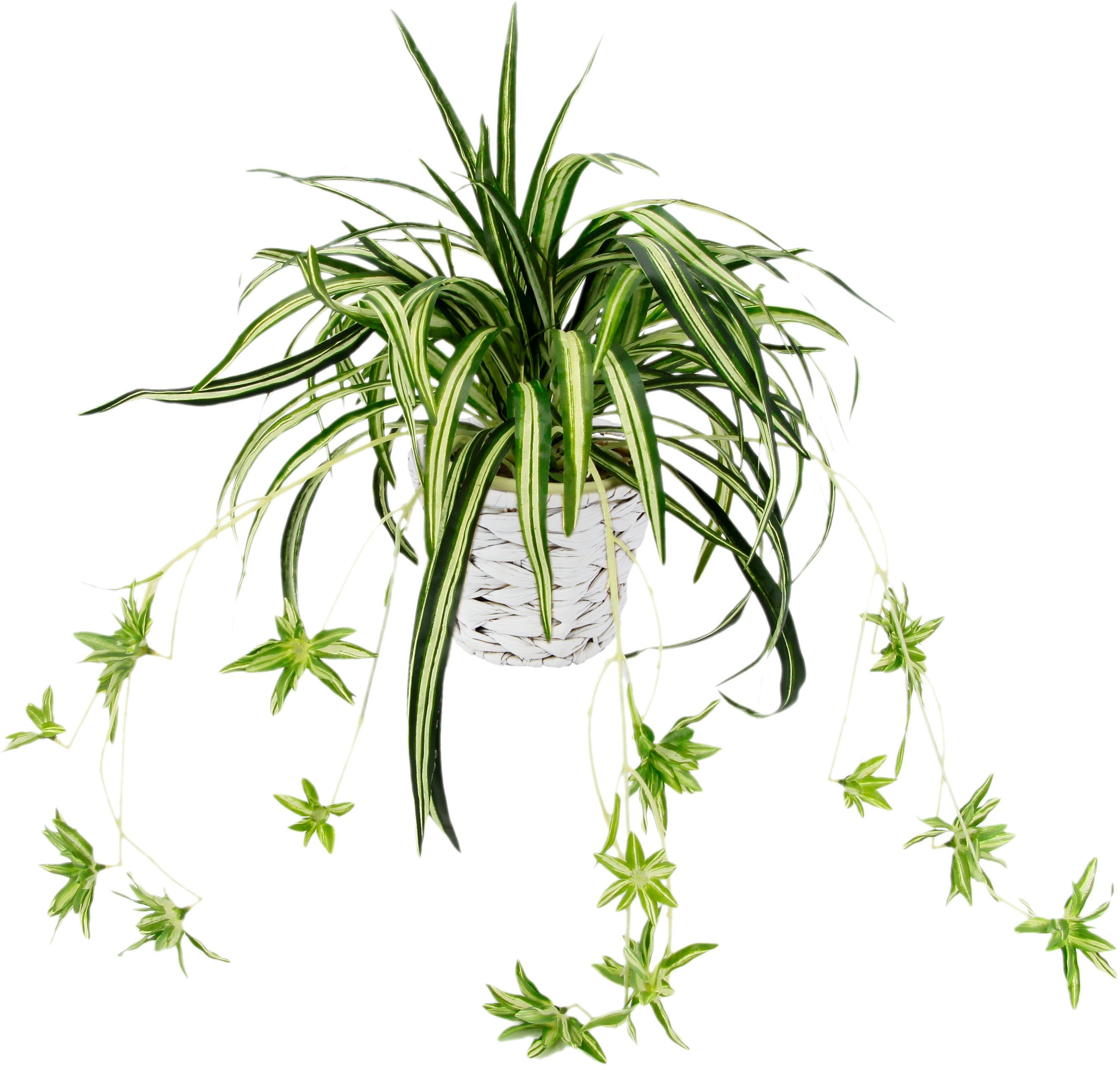 Wasserlilie, I.GE.A., Kunstpflanze Wasserlilie im Höhe cm, Übertopf 35