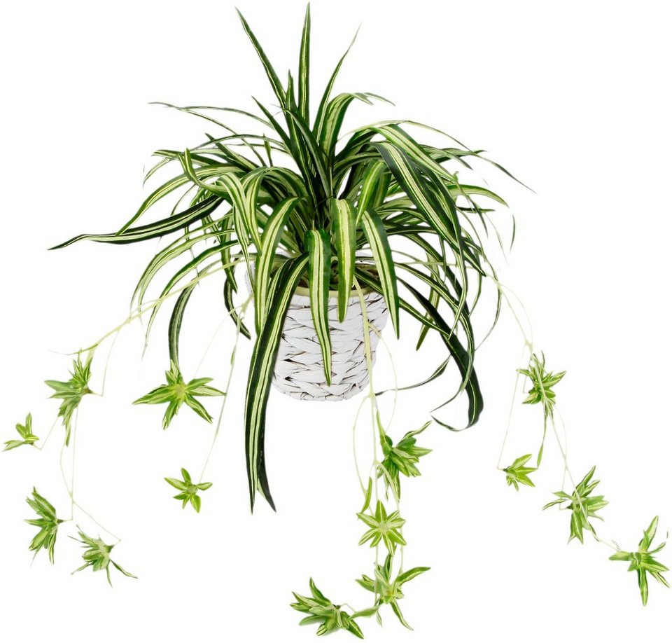 Kunstpflanze Wasserlilie Wasserlilie, I.GE.A., Höhe 35 cm, im Übertopf