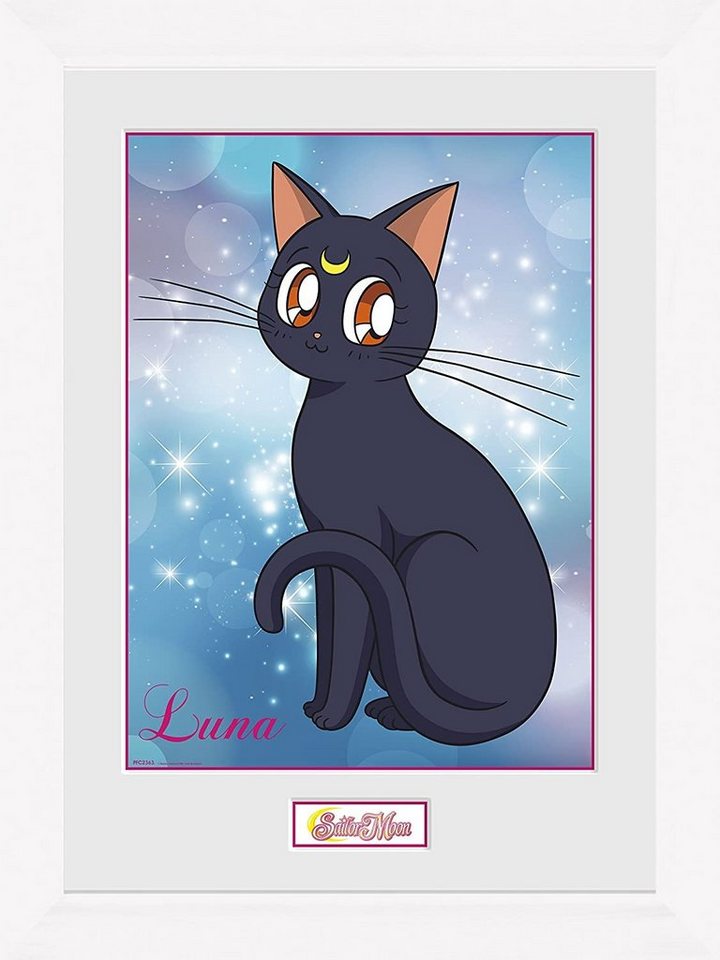 photo Luna Sailor Moon Cover Photo gb eye bild mit rahmen sailor moon luna katze collector print online kaufen otto