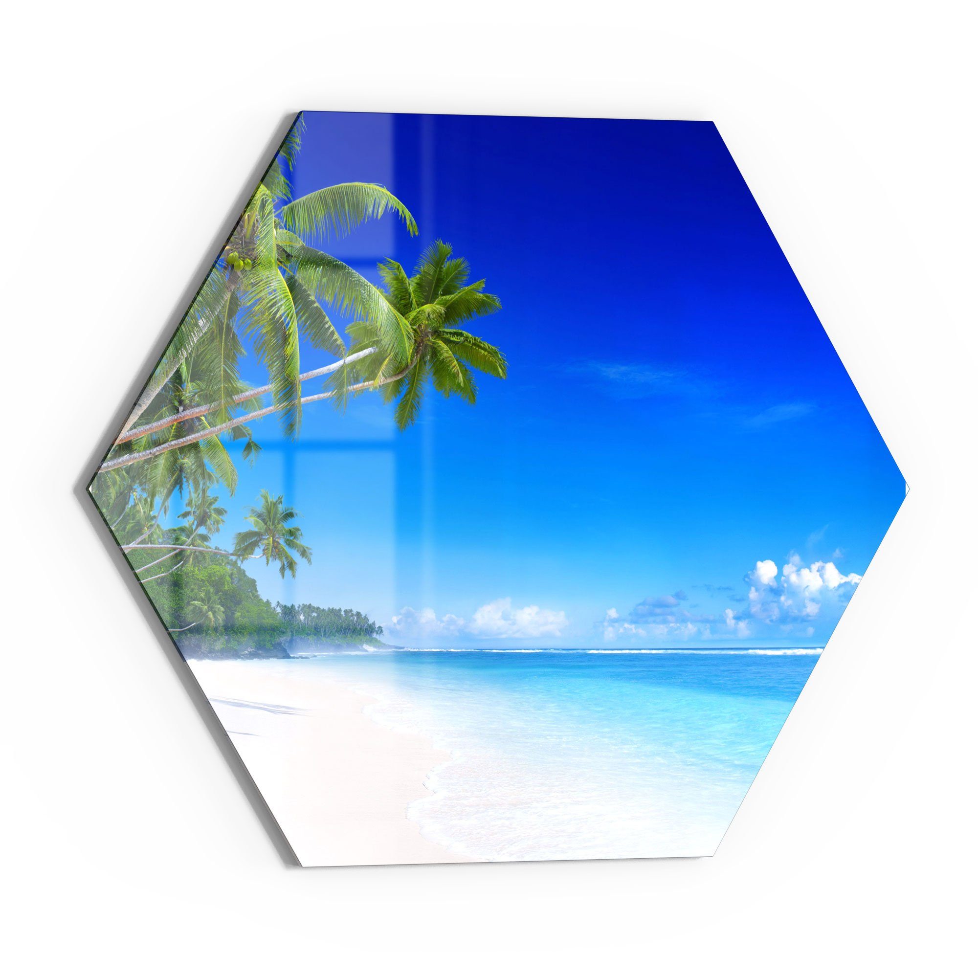 DEQORI Glasbild 'Palmen am Sandstrand', 'Palmen günstig online kaufen