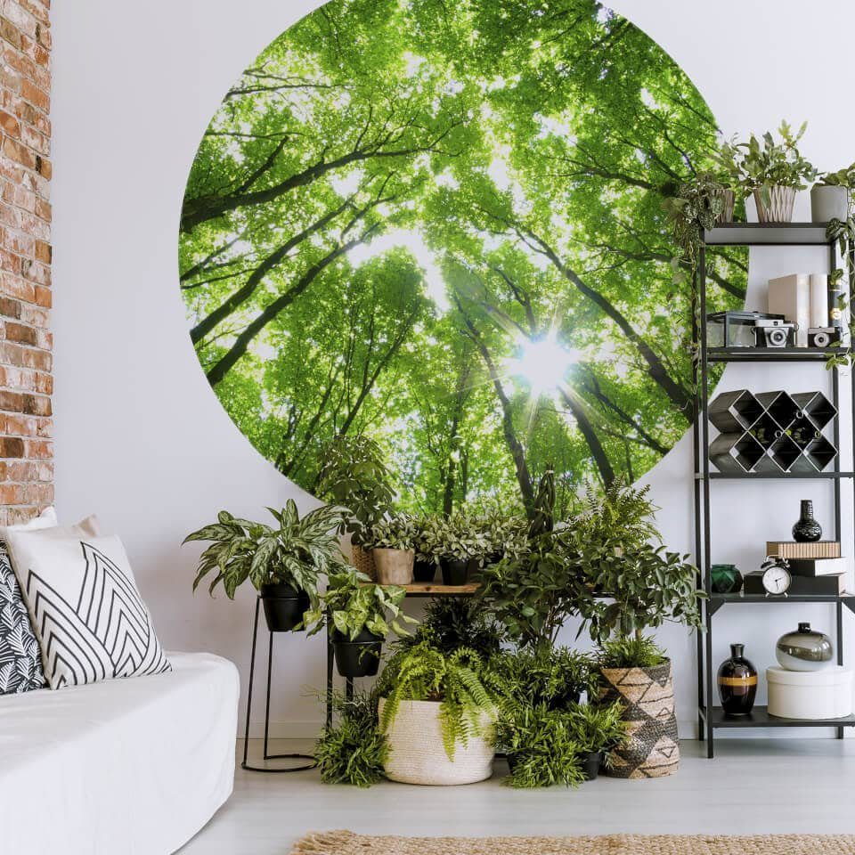 K&L Wall Art Fototapete Fototapete Baumkronen Wald Vliestapete Rund Bäume Wohnzimmer Tapete, Immergrün Tapete