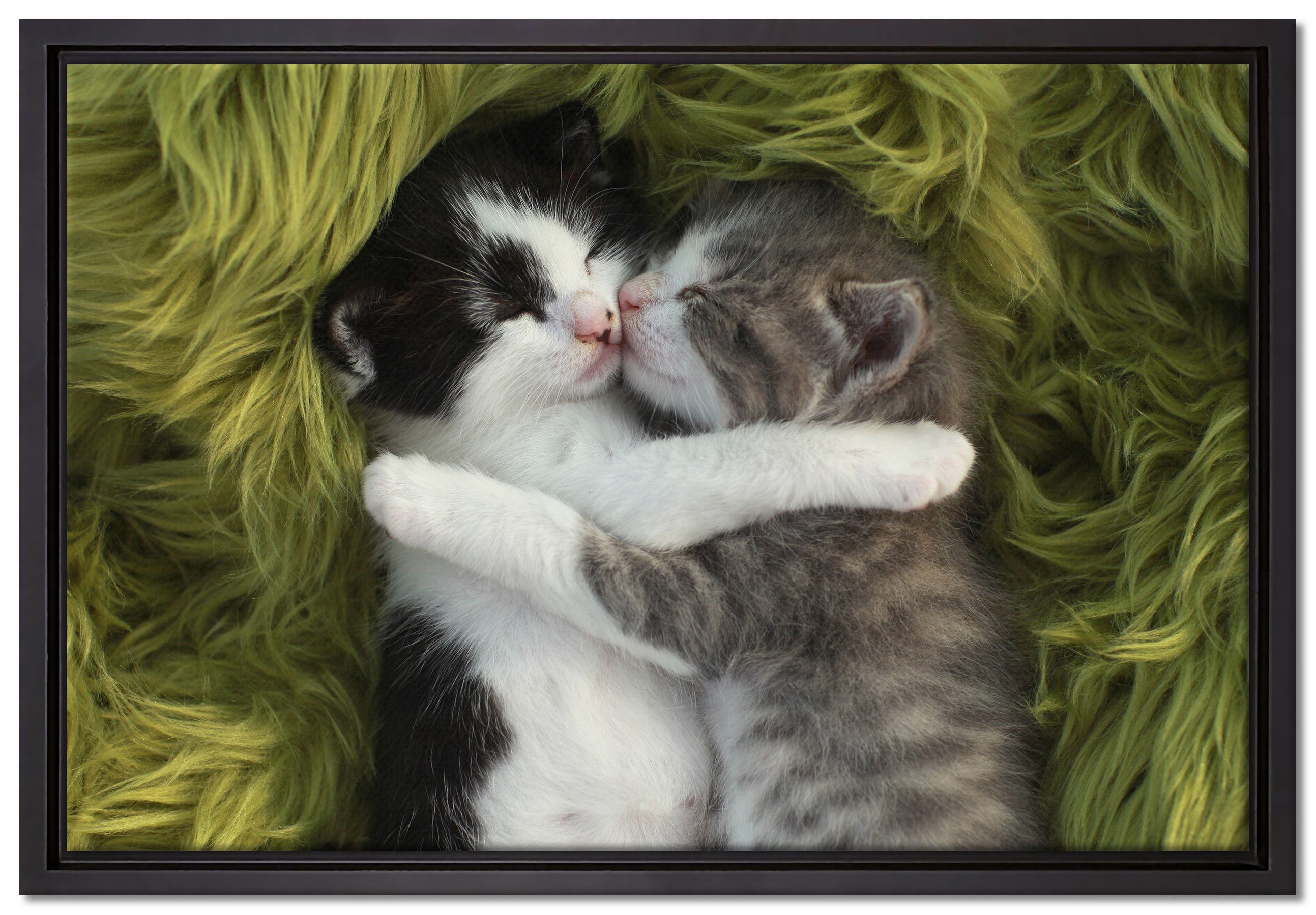 Pixxprint Leinwandbild Zwei kuschelnde Kätzchen, Wanddekoration (1 St), Leinwandbild fertig bespannt, in einem Schattenfugen-Bilderrahmen gefasst, inkl. Zackenaufhänger
