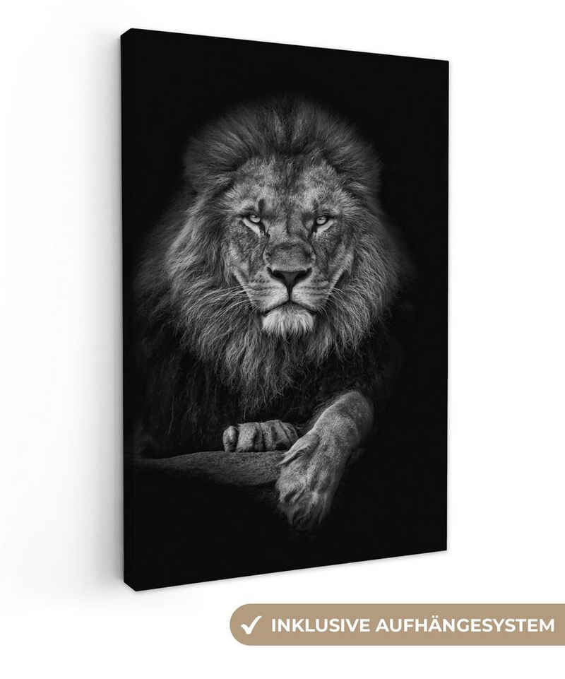 OneMillionCanvasses® Leinwandbild Löwe - Tiere - Schwarz - Weiß, (1 St), Wandbild für alle Wohnbereiche, Gemälde, XXL, großes, 80x120 cm