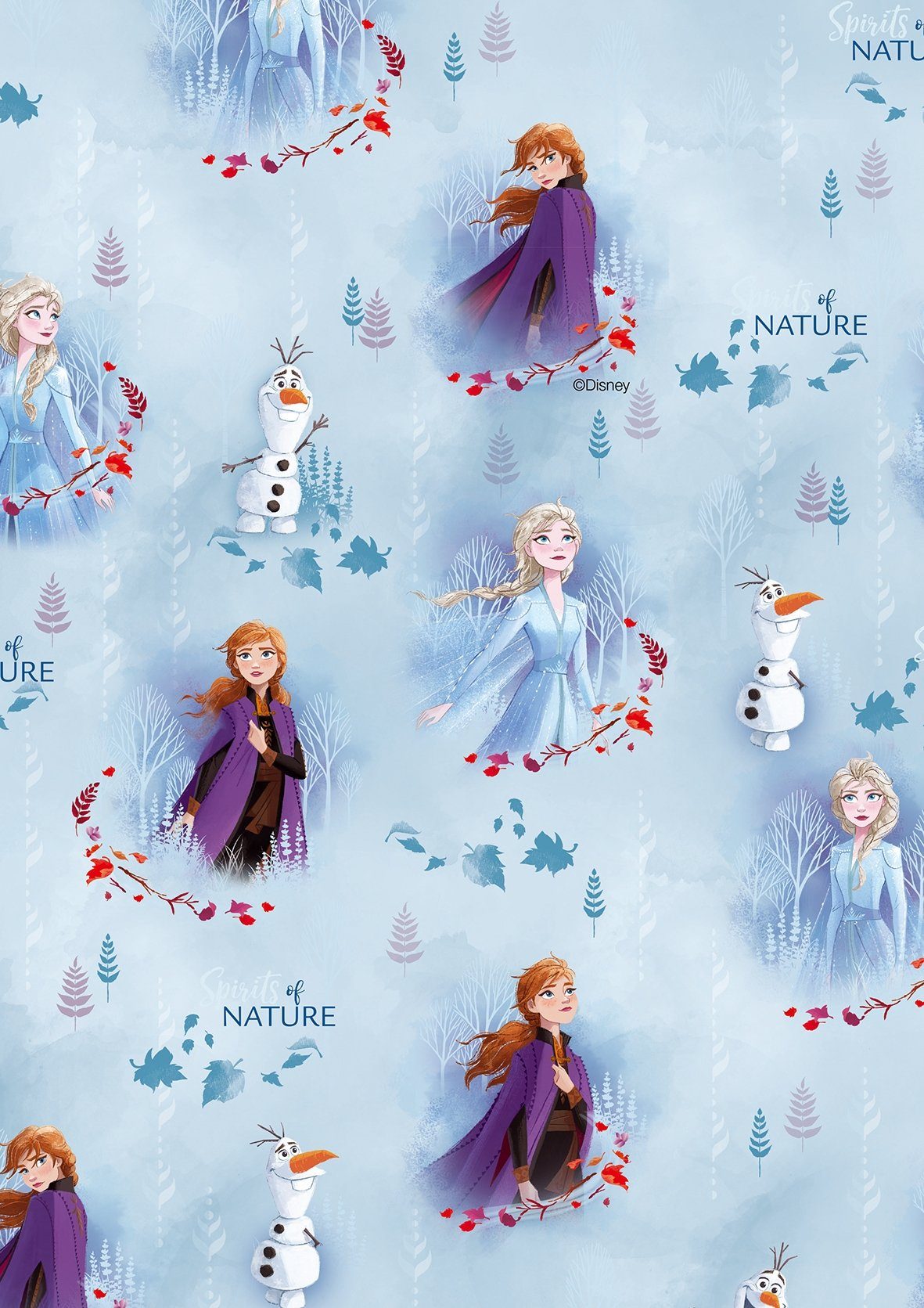 BSB Grußkarten Geschenkpapier - Röllchen - 70x150 cm - BSB - Frozen