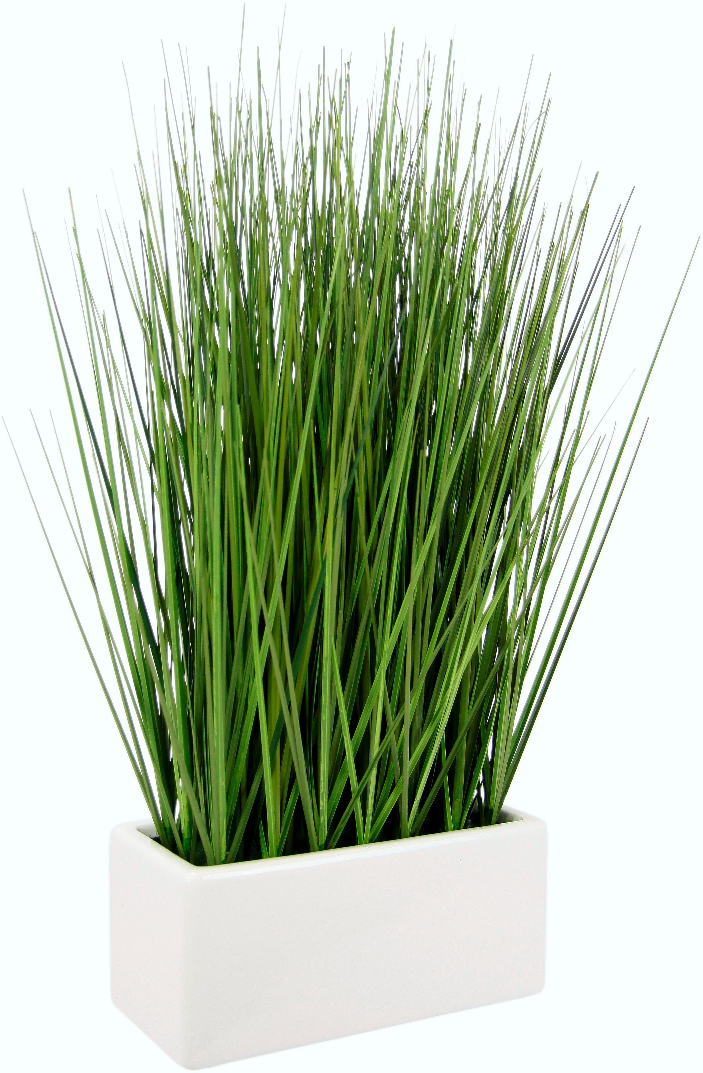 Kunstgras Gras, I.GE.A., Höhe 45 cm, in Keramikschale, Langlebig,  pflegeleicht und vielseitig verwendbar