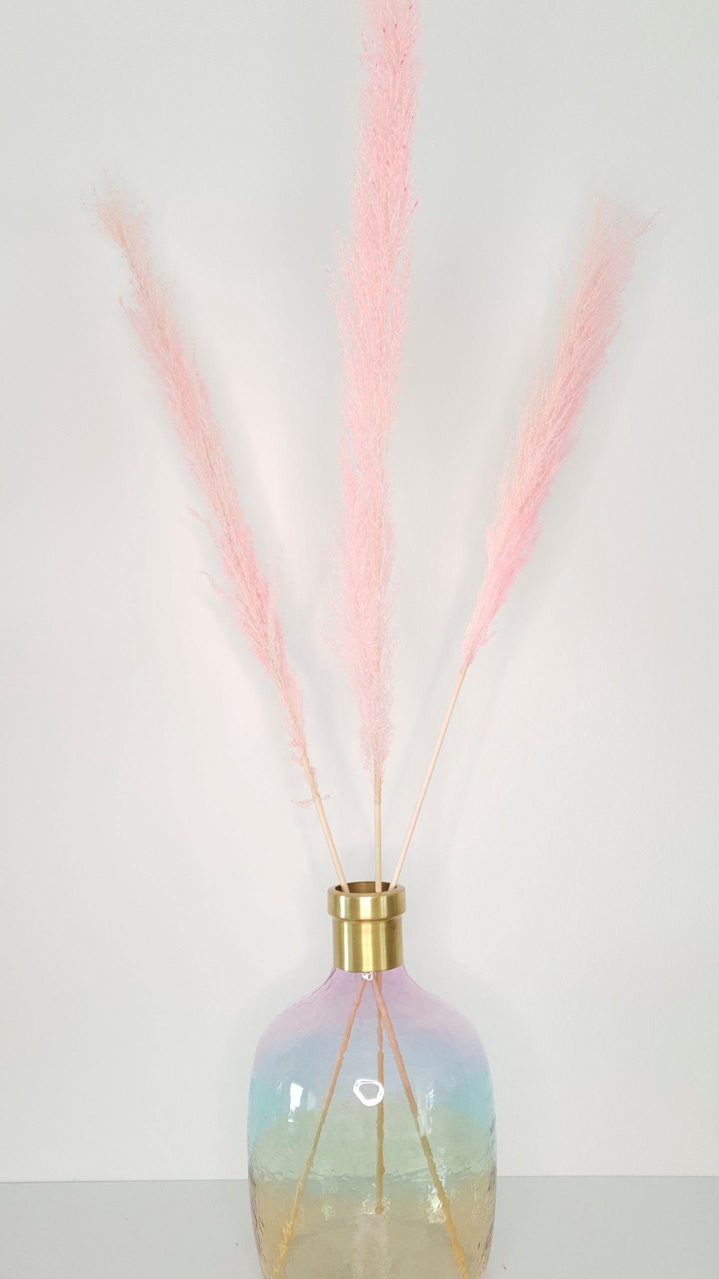 Trockenblume »The Pink Superfluffy´s«, Everflowers, Höhe 110 cm, Pampasgras, 3er Set-HomeTrends