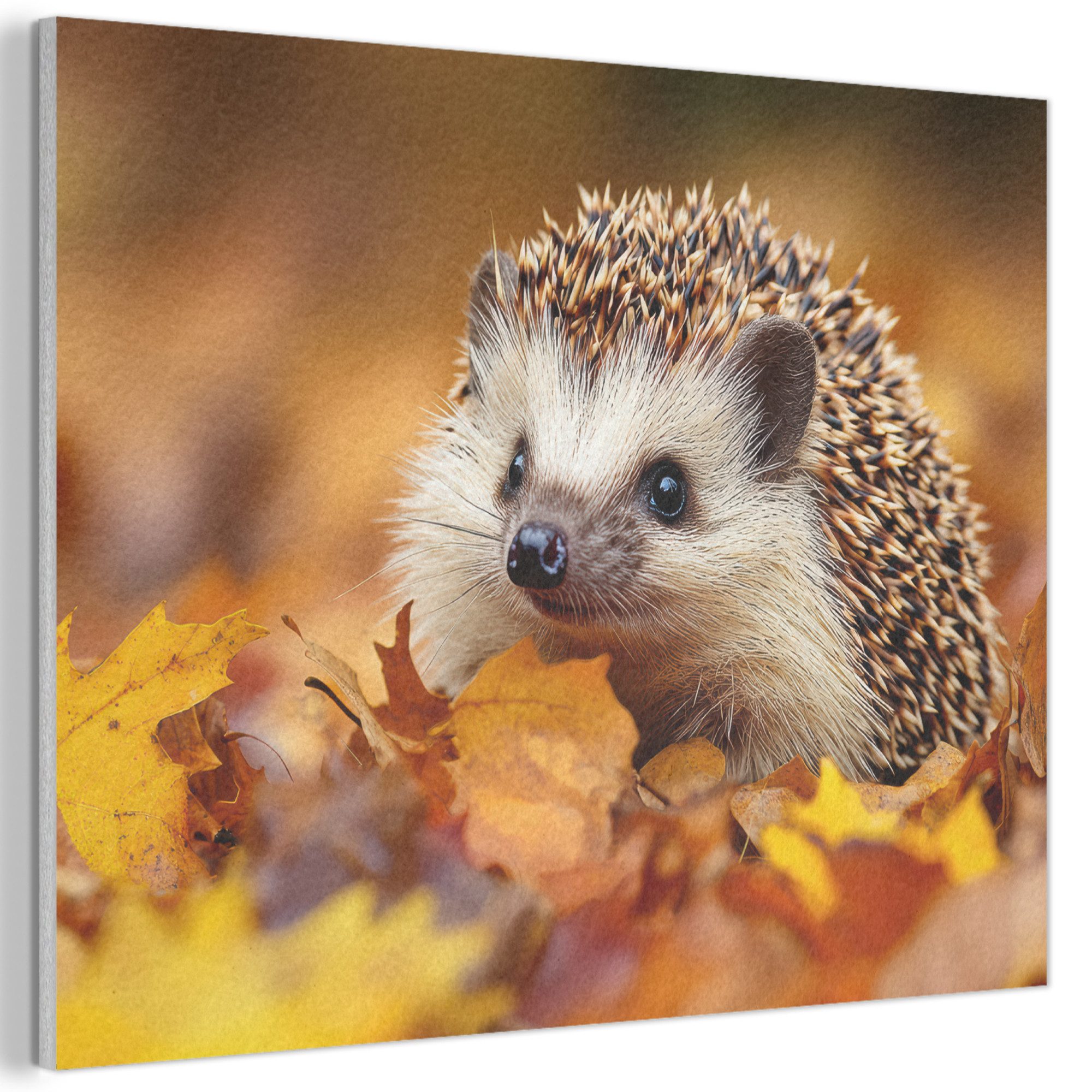 MuchoWow Gemälde Igel - Wald - günstig online kaufen