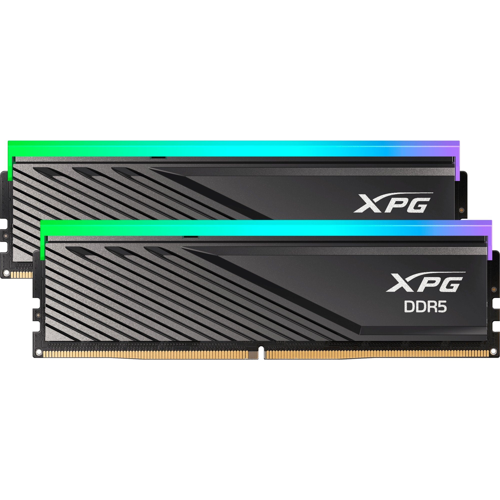 ADATA ADATA DIMM 48 GB DDR5-6400 (2x 24 GB) Dual-Kit, Arbeitsspeicher