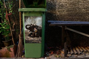 MuchoWow Wandsticker Elefant - Junge - Buch - Wald - Tiere - Natur (1 St), Mülleimer-aufkleber, Mülltonne, Sticker, Container, Abfalbehälter