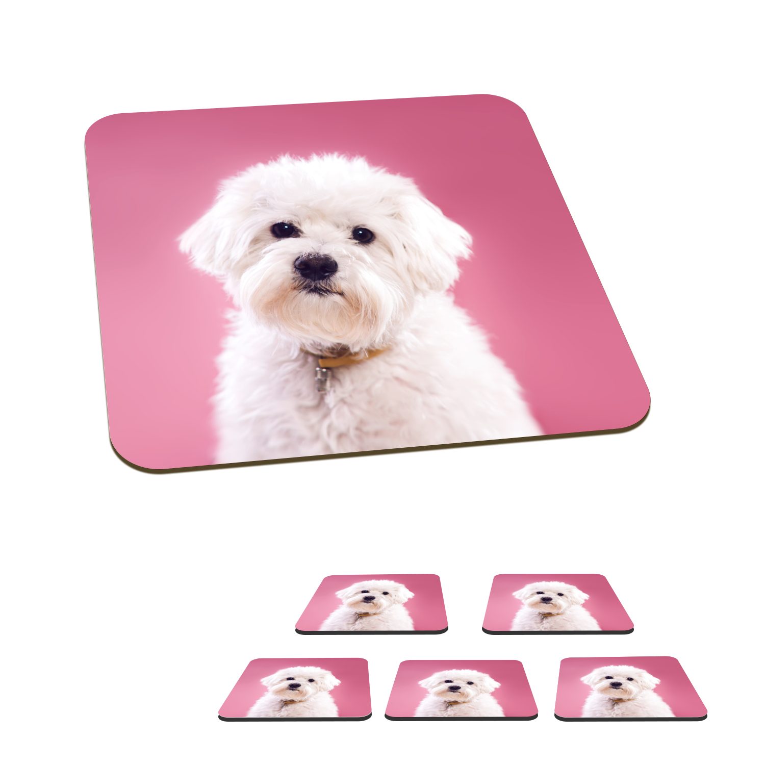 MuchoWow Glasuntersetzer Malteser Hund mit rosa Hintergrund, Zubehör für Gläser, 6-tlg., Glasuntersetzer, Tischuntersetzer, Korkuntersetzer, Untersetzer, Tasse