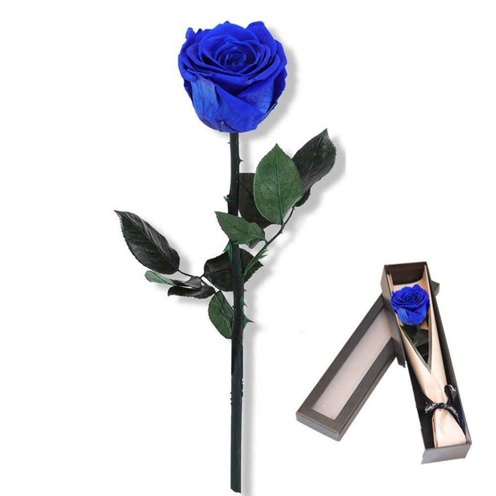 Kunstblume Ewige Rose Konservierte Echte Rose in Geschenkbox Geschenk Für Frauen, MOPUEA, Echte Rose langlebig pflegefrei dekorativ verpackt