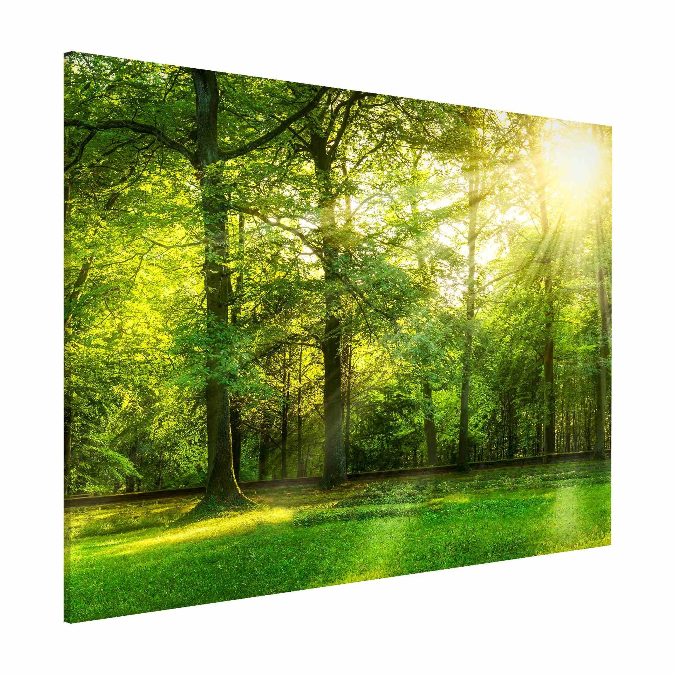 Bilderdepot24 Magnettafel Küche grün Spaziergang im Wald, (1-tlg., Magnetboard Pinnwand für die Wand - metallische Tafel für Magnete), Magnetwand groß mit Motiv Büro Memoboard magnetisch Hochformat