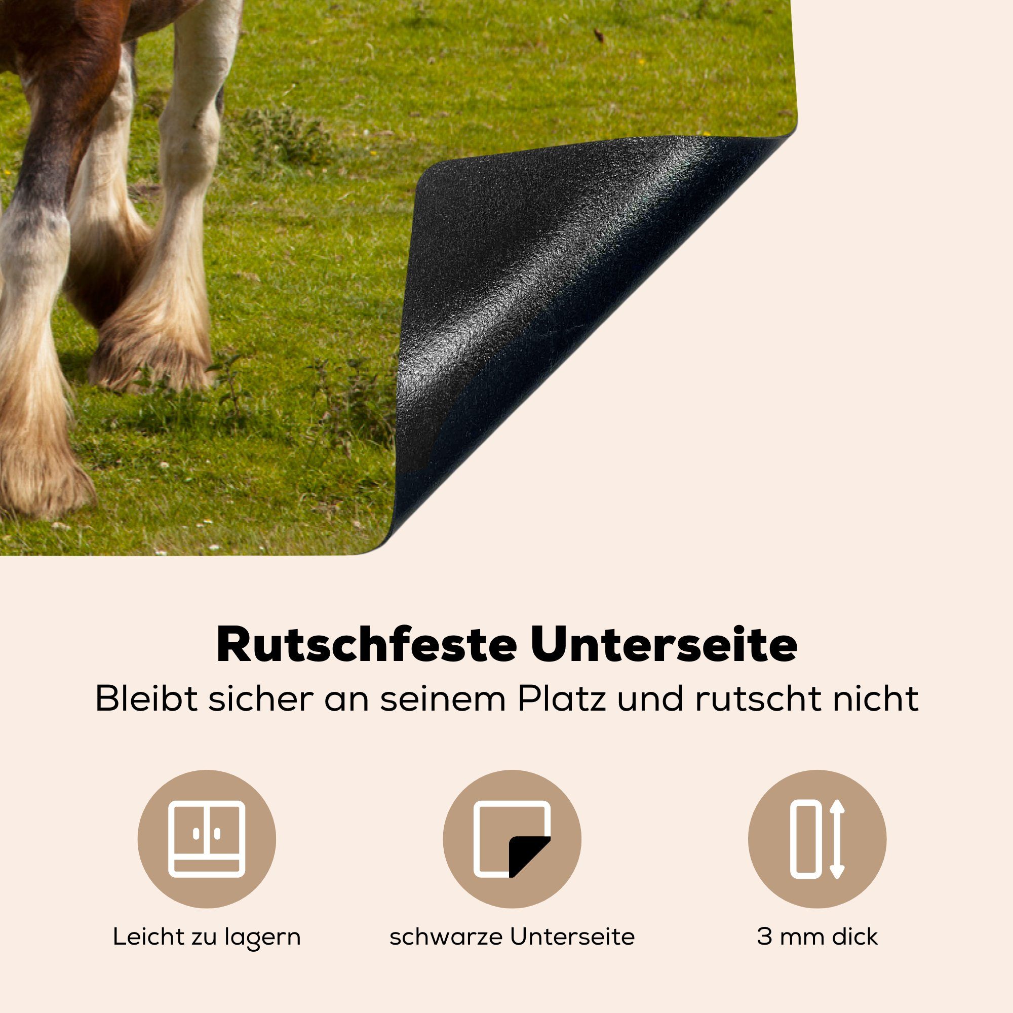 - Vinyl, küche, die Clydesdale (1 81x52 Pferde, cm, Induktionskochfeld Schutz Herdblende-/Abdeckplatte - tlg), für Grasland MuchoWow Ceranfeldabdeckung