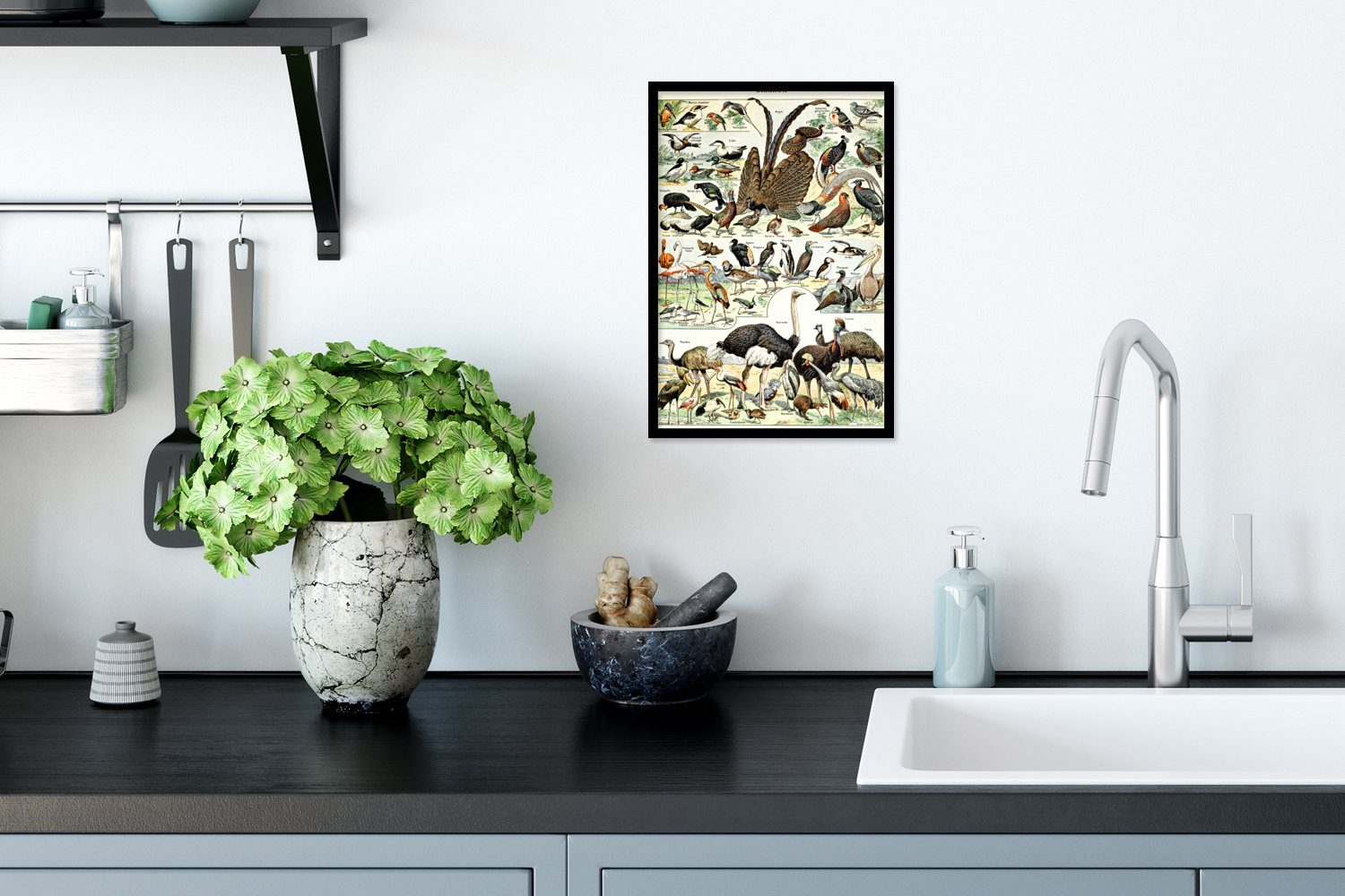 MuchoWow Poster Vogel - Natur Tiere Poster, Bilder, Wandposter, Schwarzem St), Gerahmtes Bilderrahmen Kunstwerk, - (1 - Vintage - Wanddeko