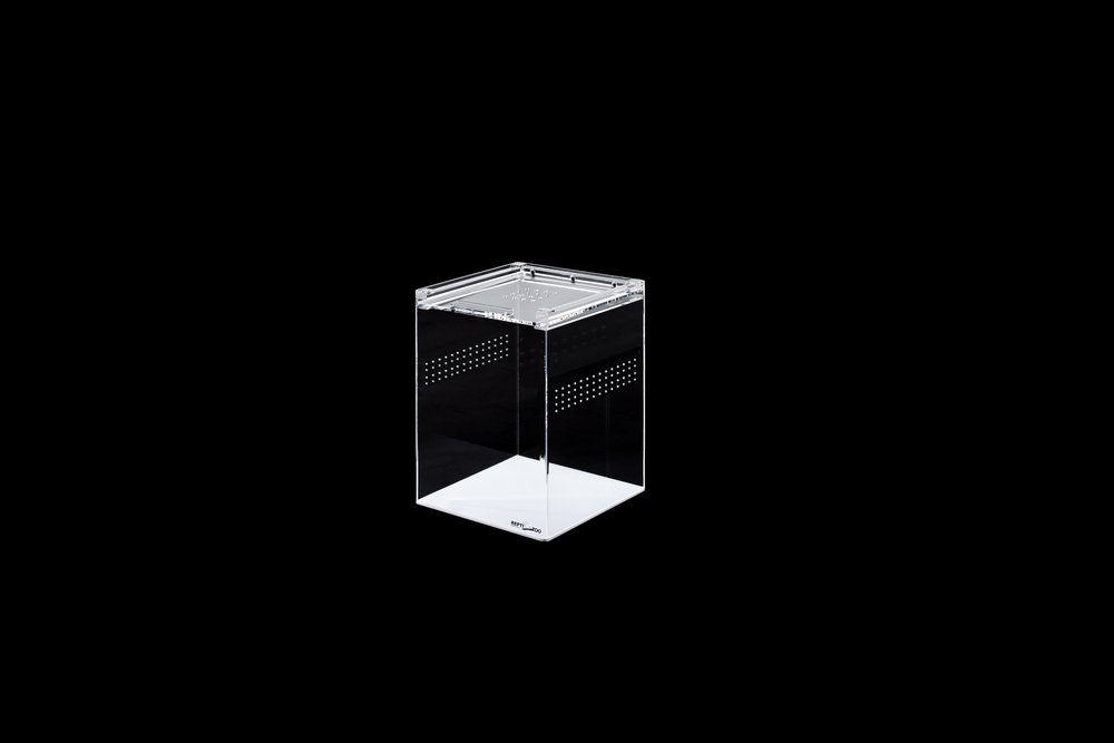 Terrarium ReptiZoo PlexiglasHOCHterrarium (Aufzuchtterrarium) 15x15x25 cm weiß