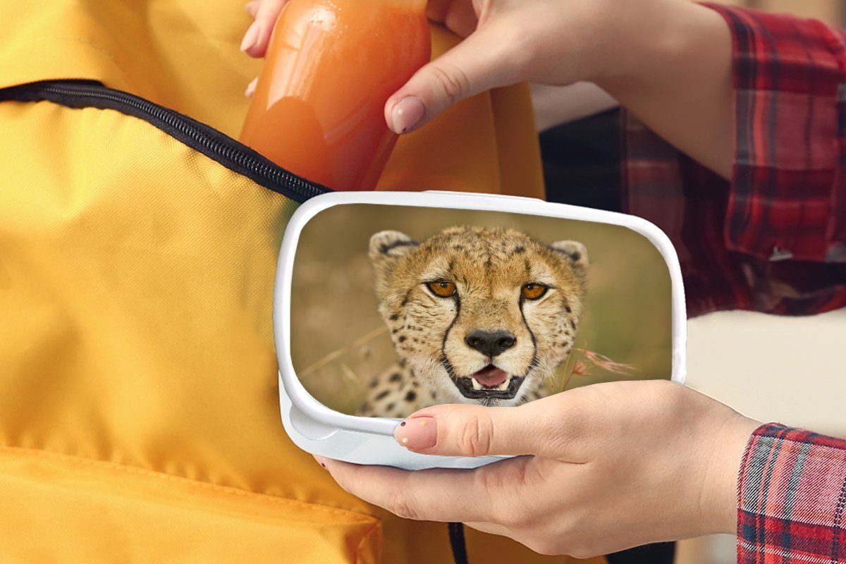 MuchoWow Lunchbox und Pflanzen, Kunststoff, Erwachsene, weiß für Brotbox Mädchen Leopard Jungs - Brotdose, für Kopf (2-tlg), Kinder - und