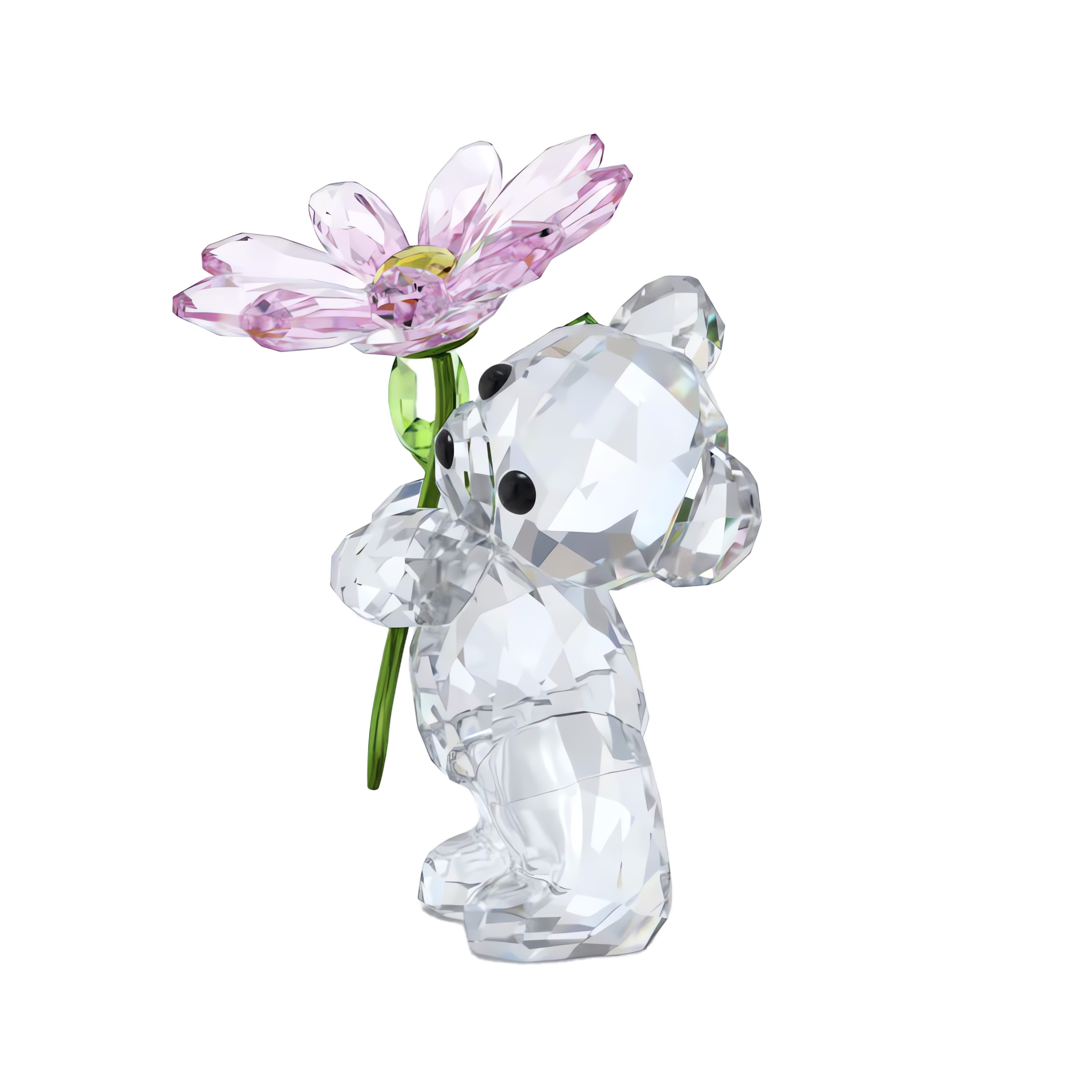Swarovski Dekofigur Kristallfigur Sammelfigur Kris Bär Ein Gänseblümchen für Dich (1 St), Swarovski® Kristall