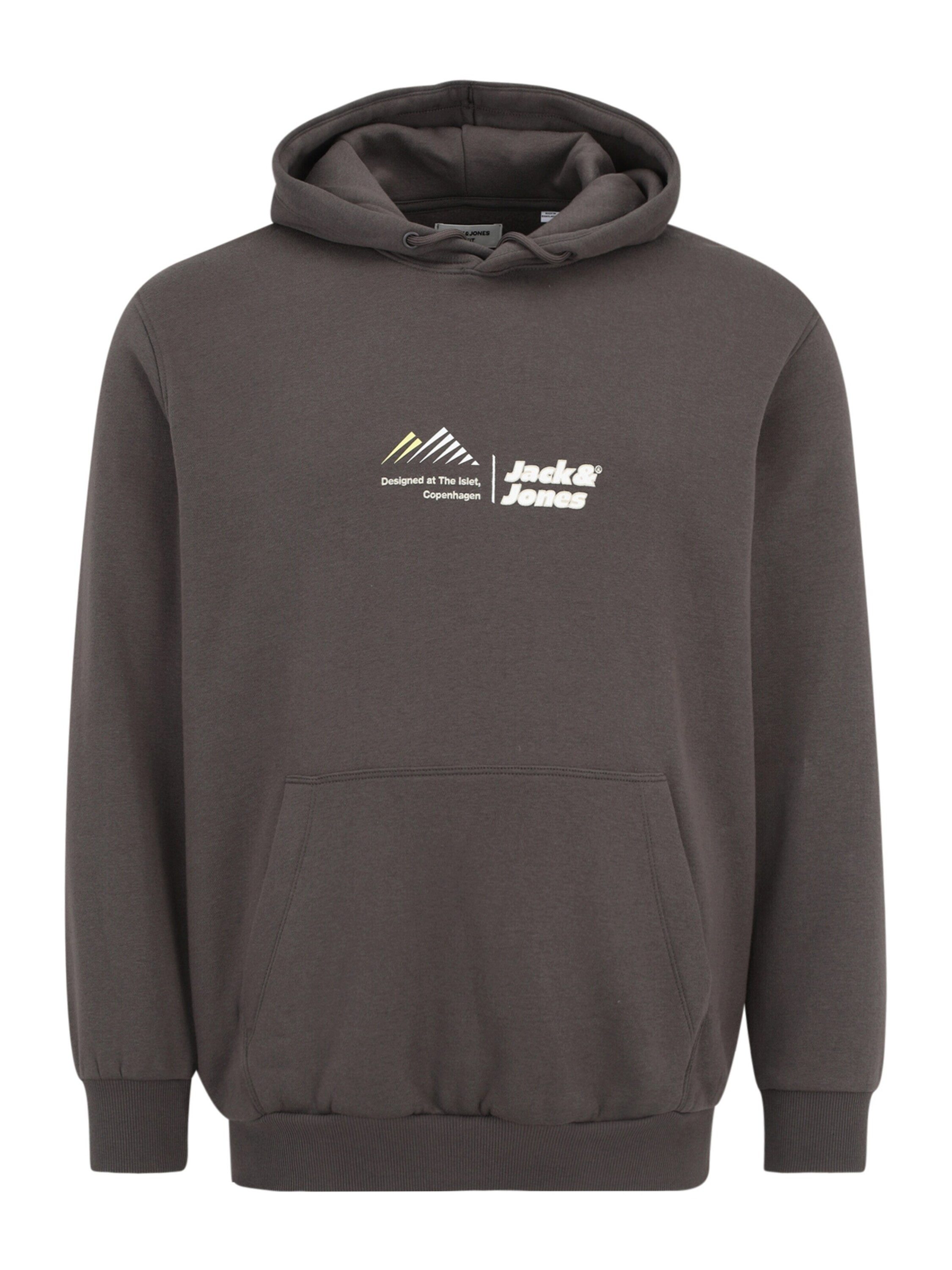 Sweatshirt JCOLIMA
