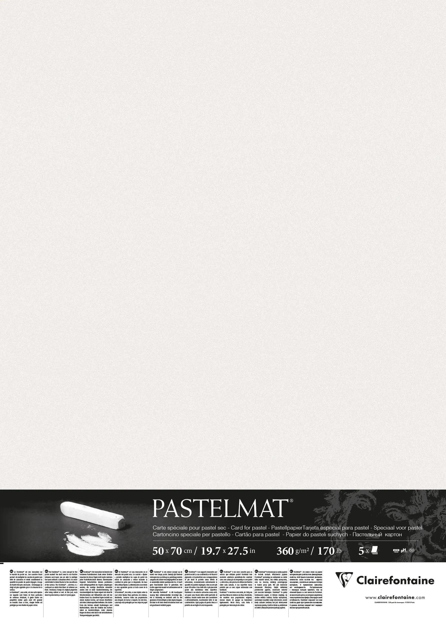 CLAIREFONTAINE Zeichenpapier Pastelmat Pastellmalerei, 5 Bogen 50x70 cm, 360g Weiß 96010C, Kunst Clairefontaine