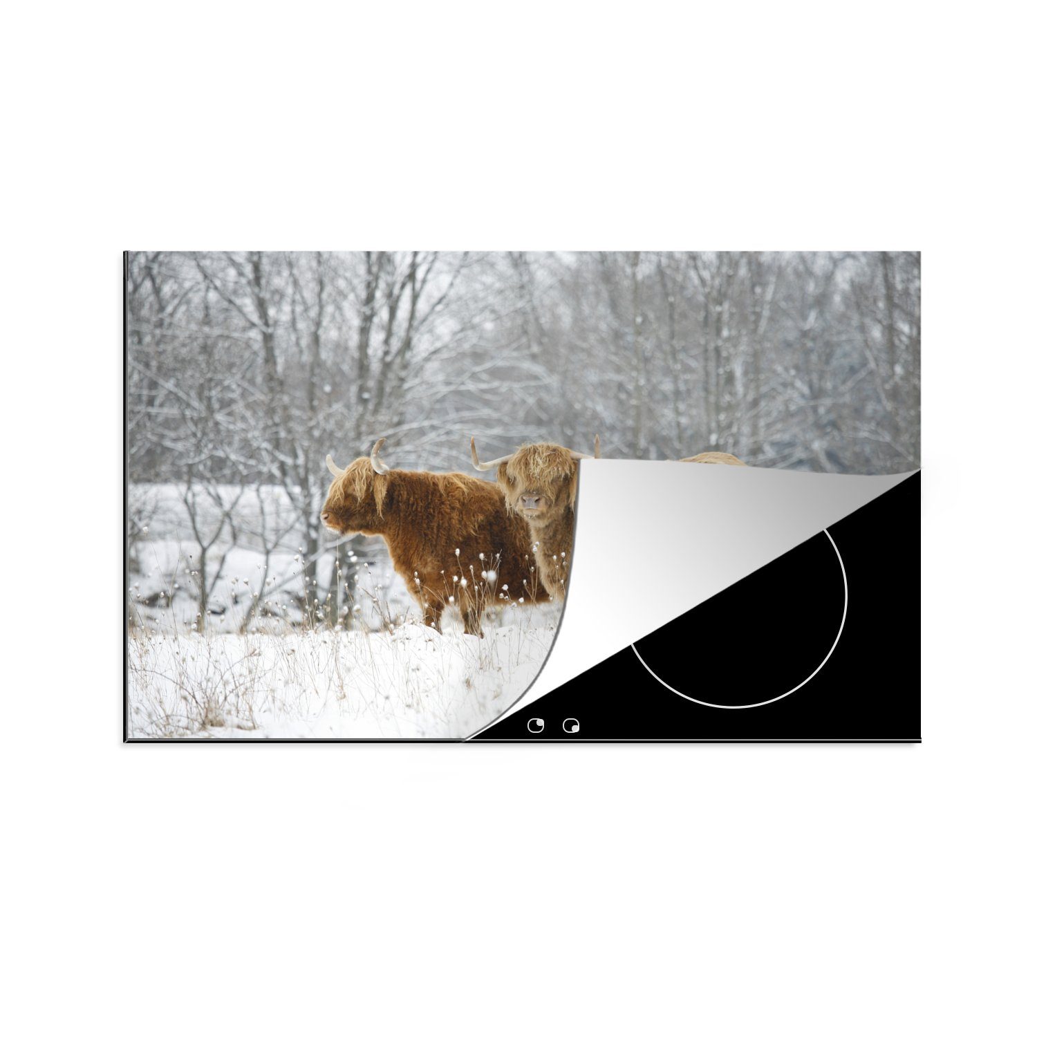 MuchoWow Herdblende-/Abdeckplatte Schottische Highlander - Wald - Winter, Vinyl, (1 tlg), 81x52 cm, Induktionskochfeld Schutz für die küche, Ceranfeldabdeckung