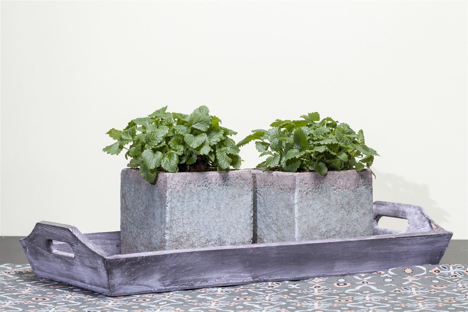 Pflanzen für Dich Staude Melissa officinalis, 1 St., Zitronenmelisse, Melisse