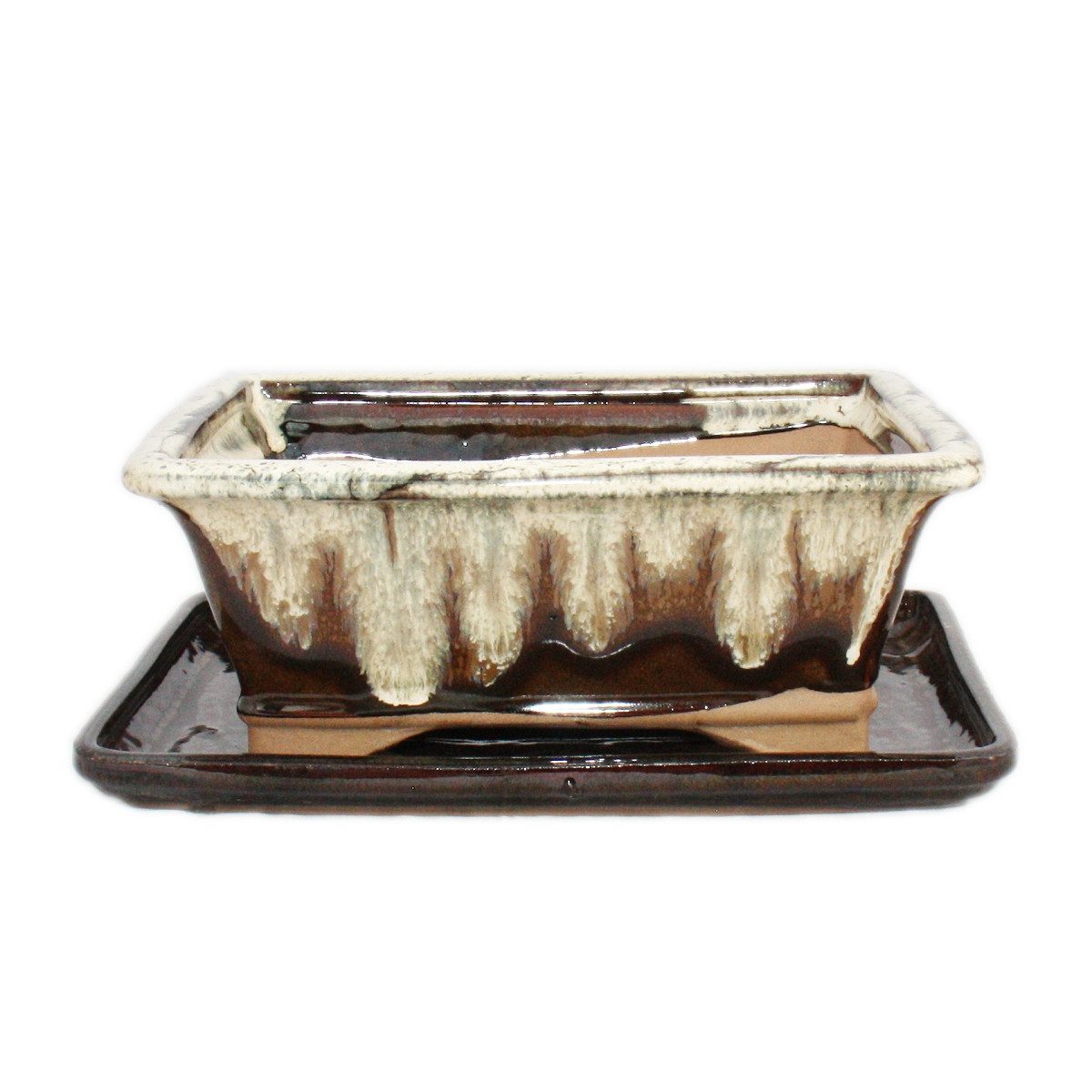 Exotenherz Pflanzschale Bonsai-Schale mit Unterteller Gr. 8 Zoll braun-beige eckig G93 L 21cm (1 St)