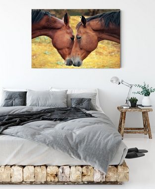 Pixxprint Leinwandbild zwei schmusende Pferde, zwei schmusende Pferde (1 St), Leinwandbild fertig bespannt, inkl. Zackenaufhänger