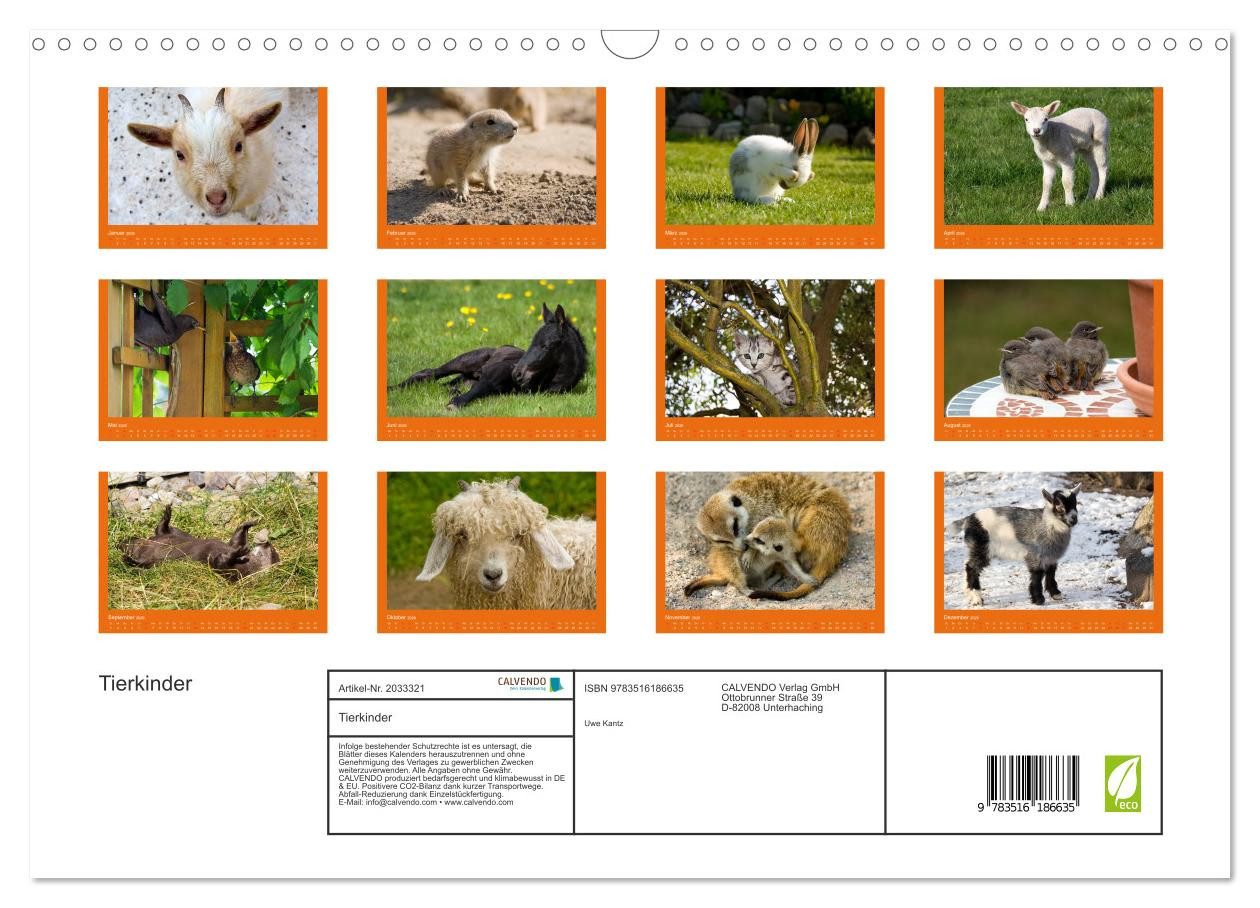 Thumbnail - CALVENDO Wandkalender Tierkinder (Wandkalender 2026 DIN A3 quer), CALVENDO Monatskalender