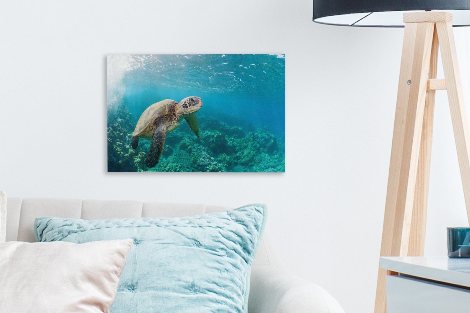 Hawaii, Wanddeko, Aufhängefertig, Korallenriff Leinwandbild Eine (1 Schildkröte OneMillionCanvasses® cm St), in 30x20 Wandbild Leinwandbilder, dem über